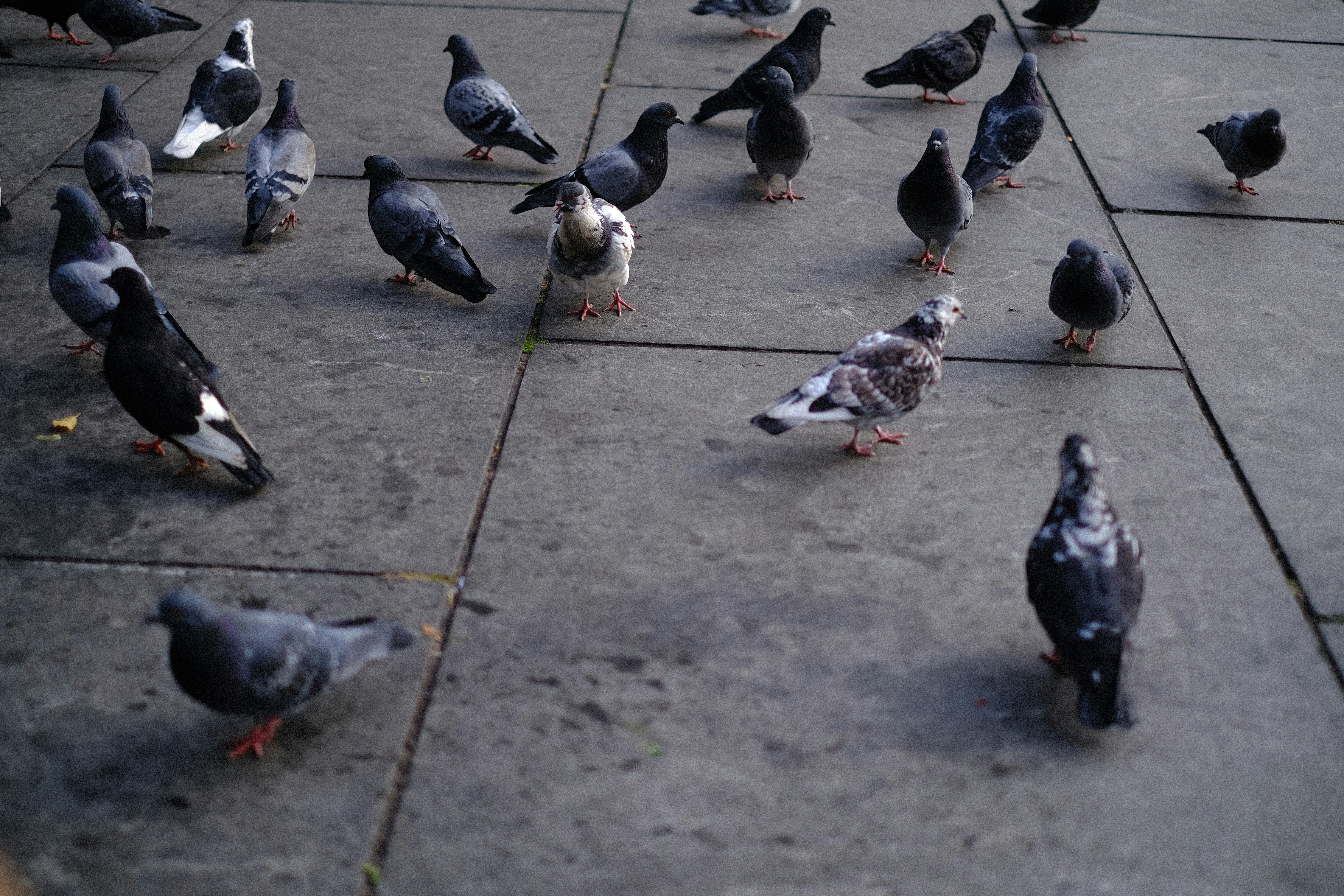 Photo by juliamichelle