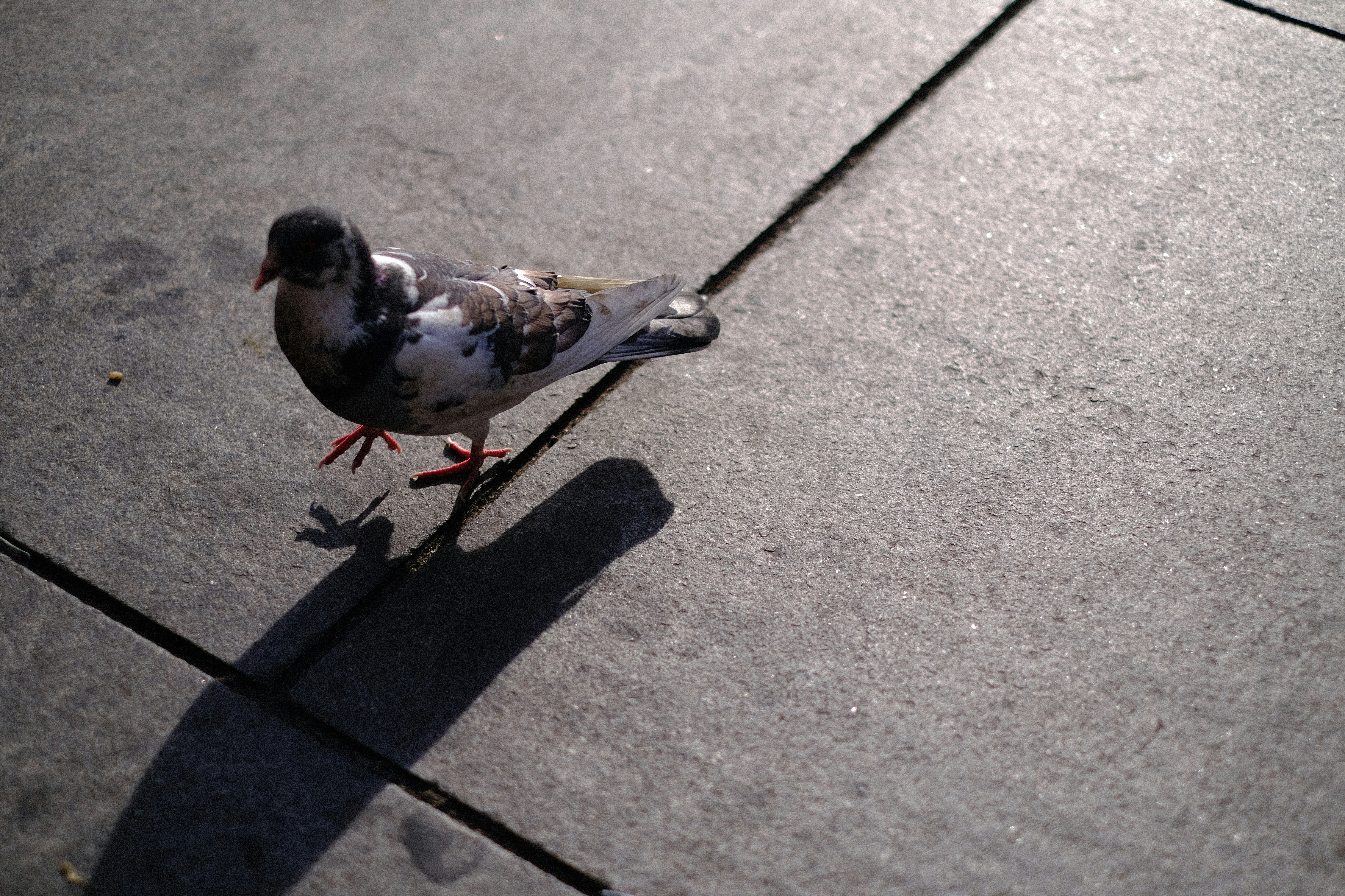 Photo by juliamichelle