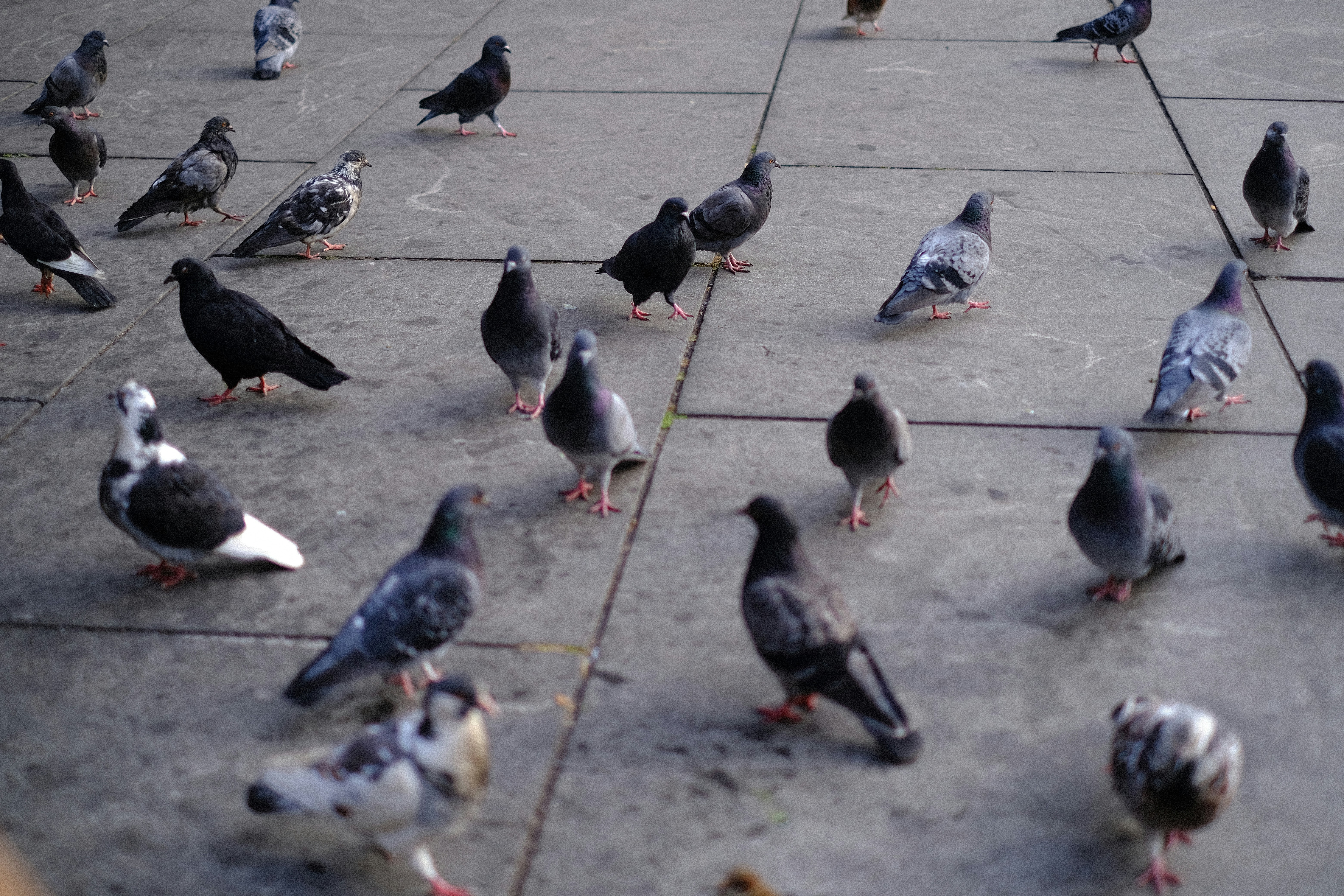 Photo by juliamichelle