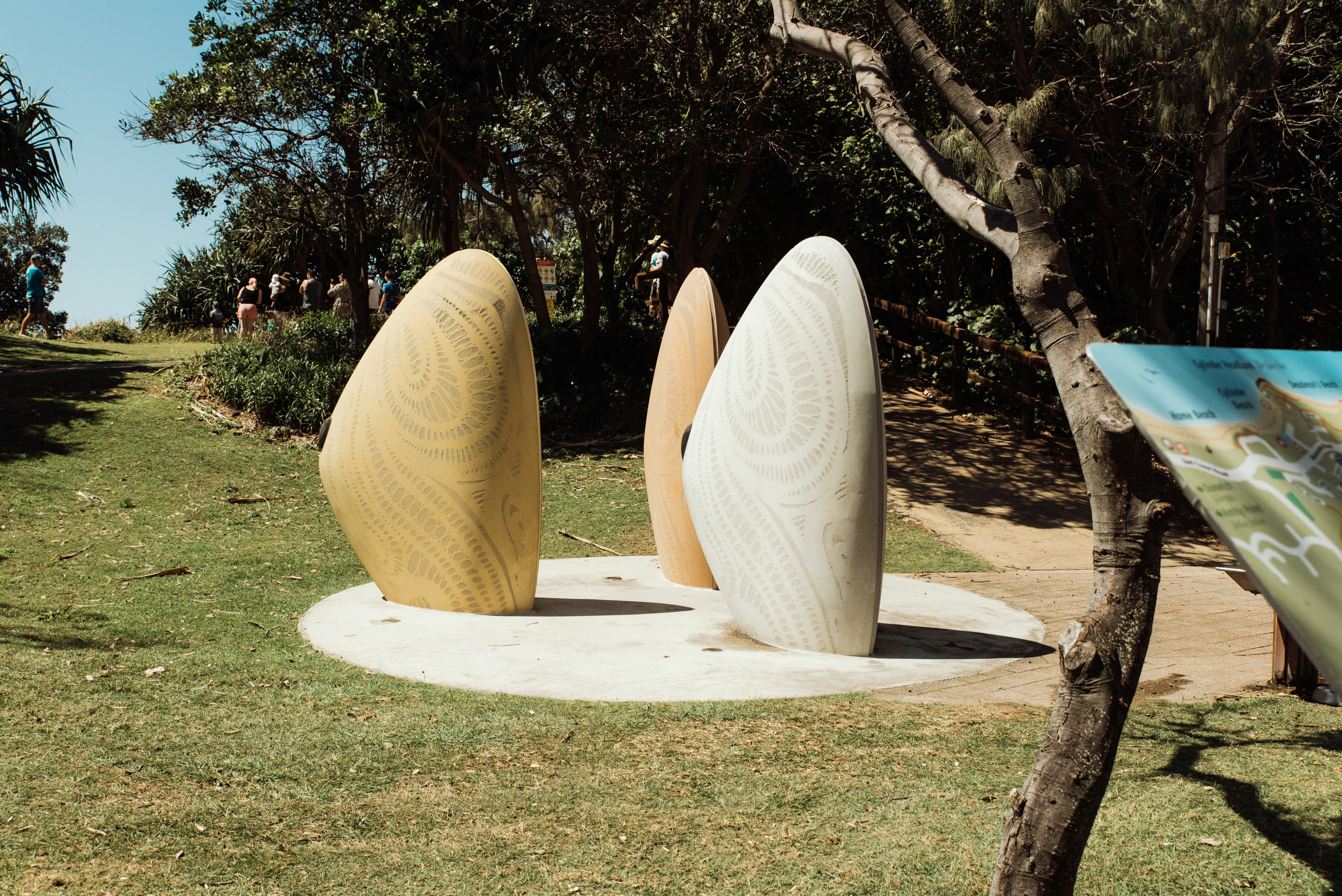 A group of surfboards sitting on top of a lush green field