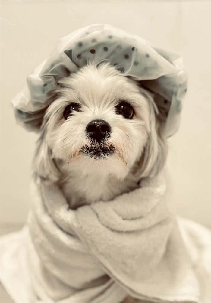 Accappatoio in microfibra per cani