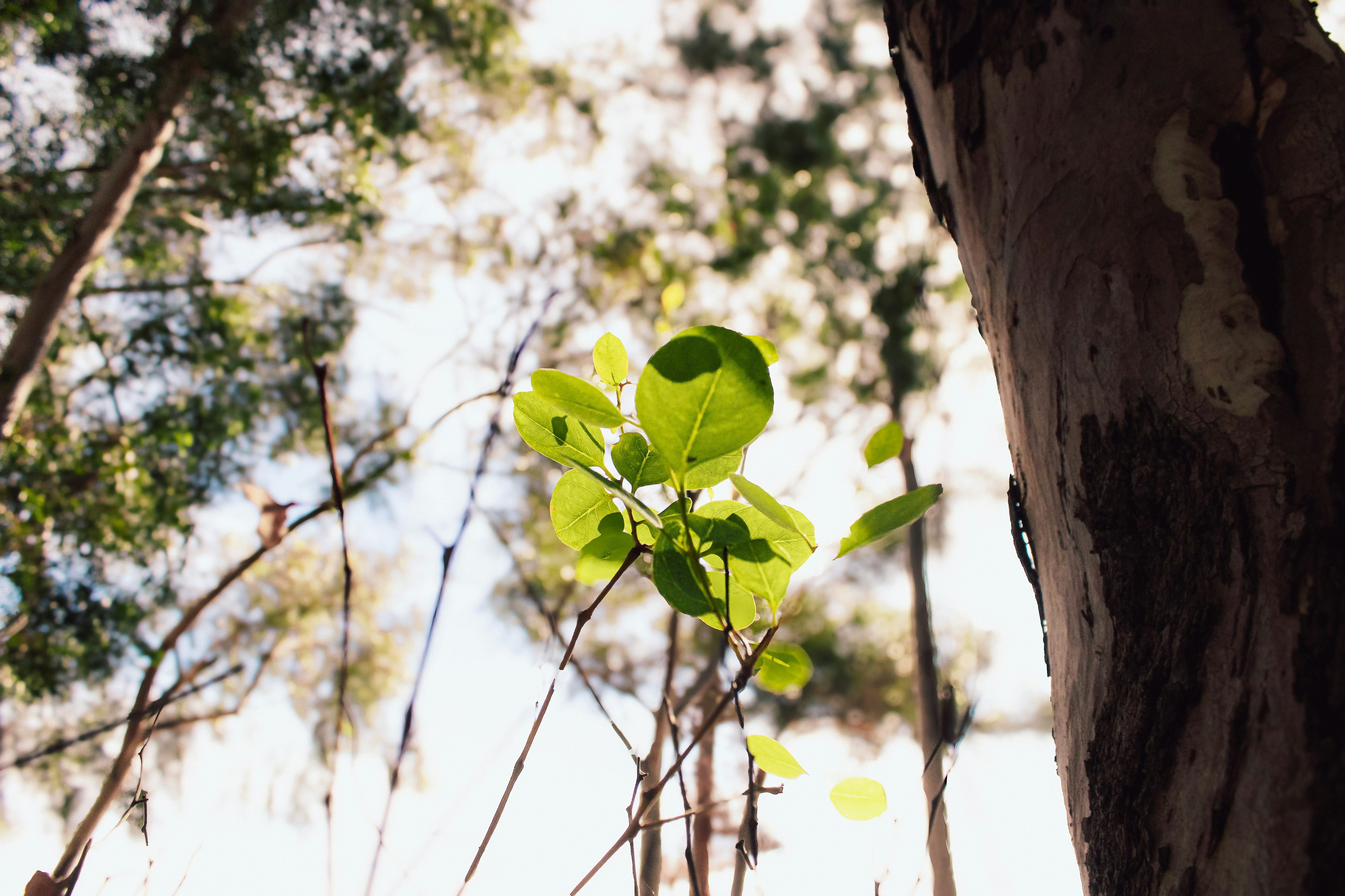 Photo by kcphotographer