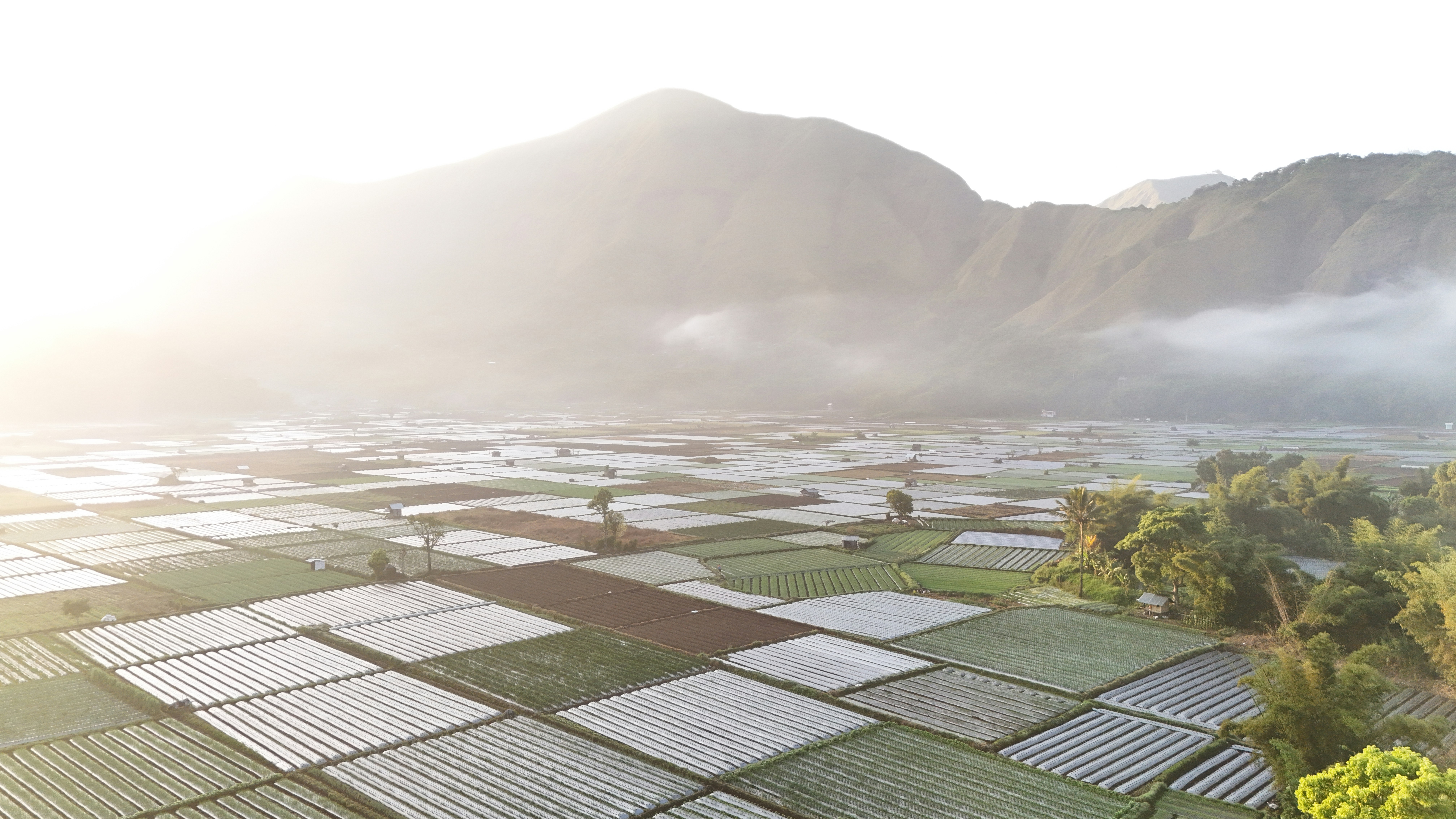 An aerial view of a farm with a mountain in the background