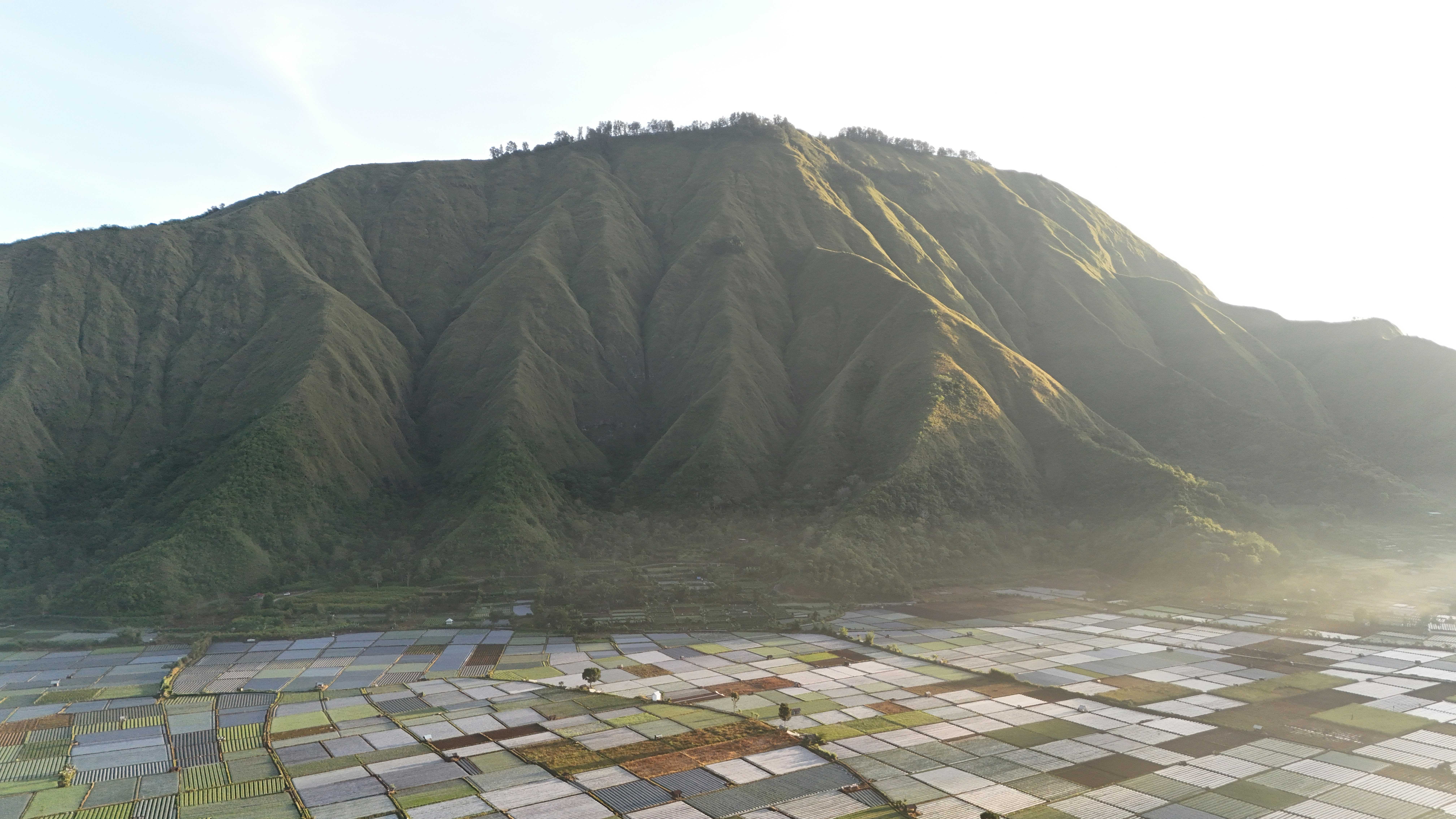 An aerial view of a mountain with a large patch of grass in the foreground