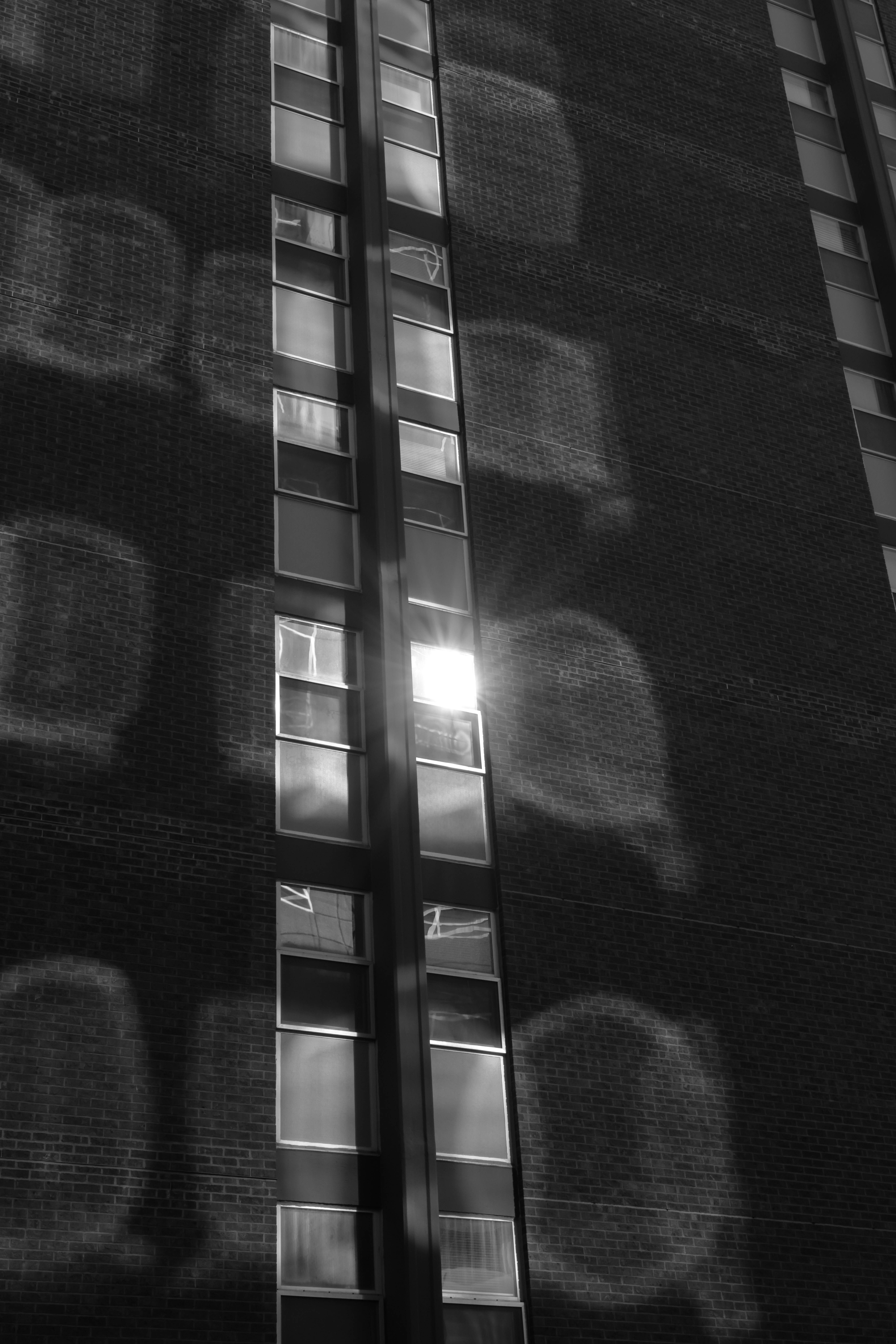 A very tall building with lots of windows