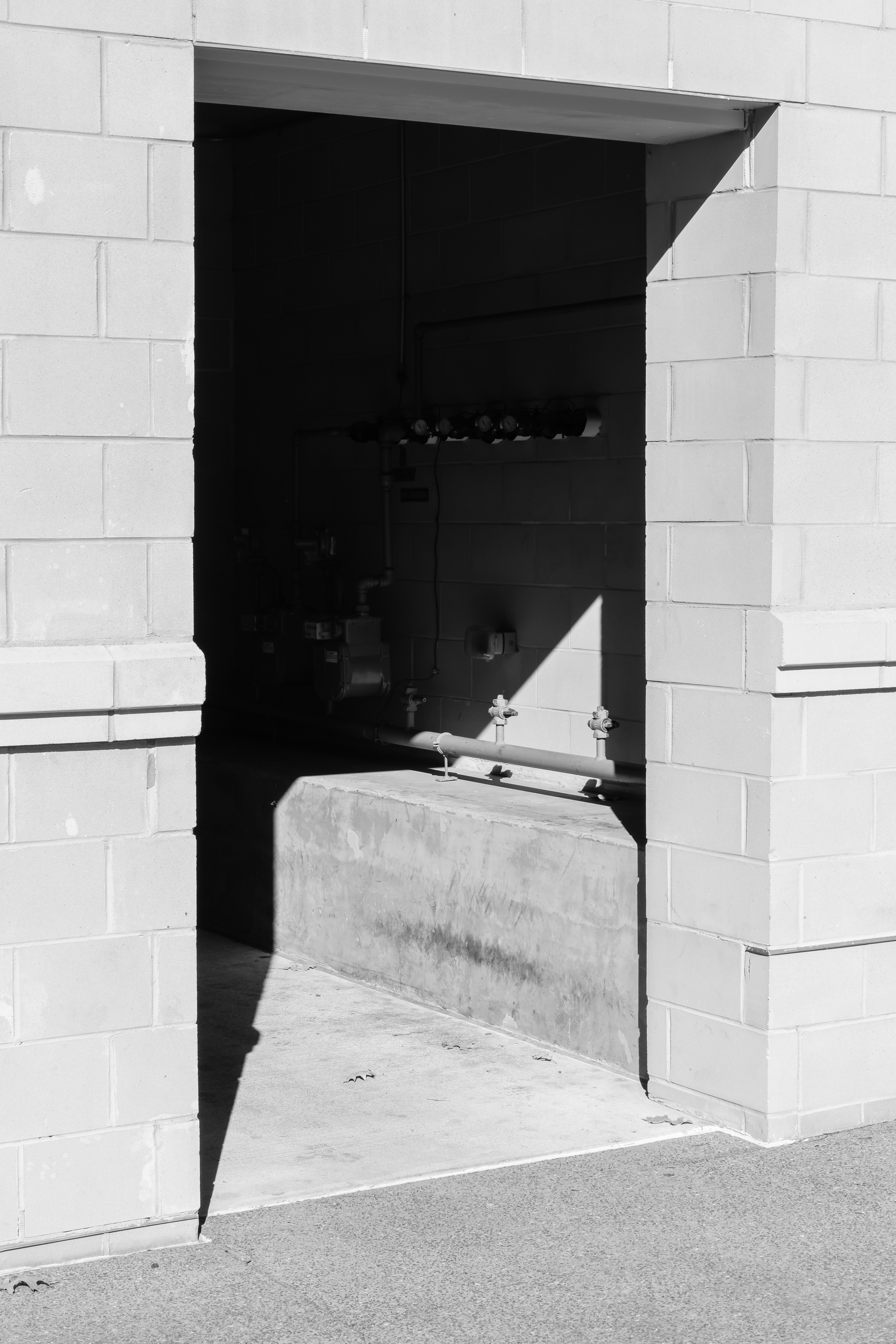 A black and white photo of a skateboarder doing a trick