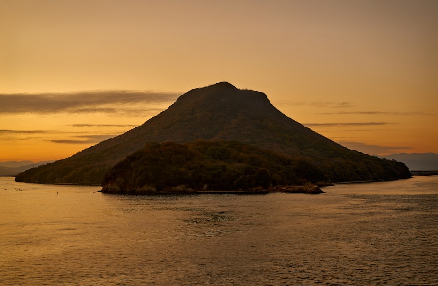
A. 海运拼箱的定义与适用性
B. 美国到香港海运拼箱的流程简介
C. 显卡作为进口商品的海关监管特点
