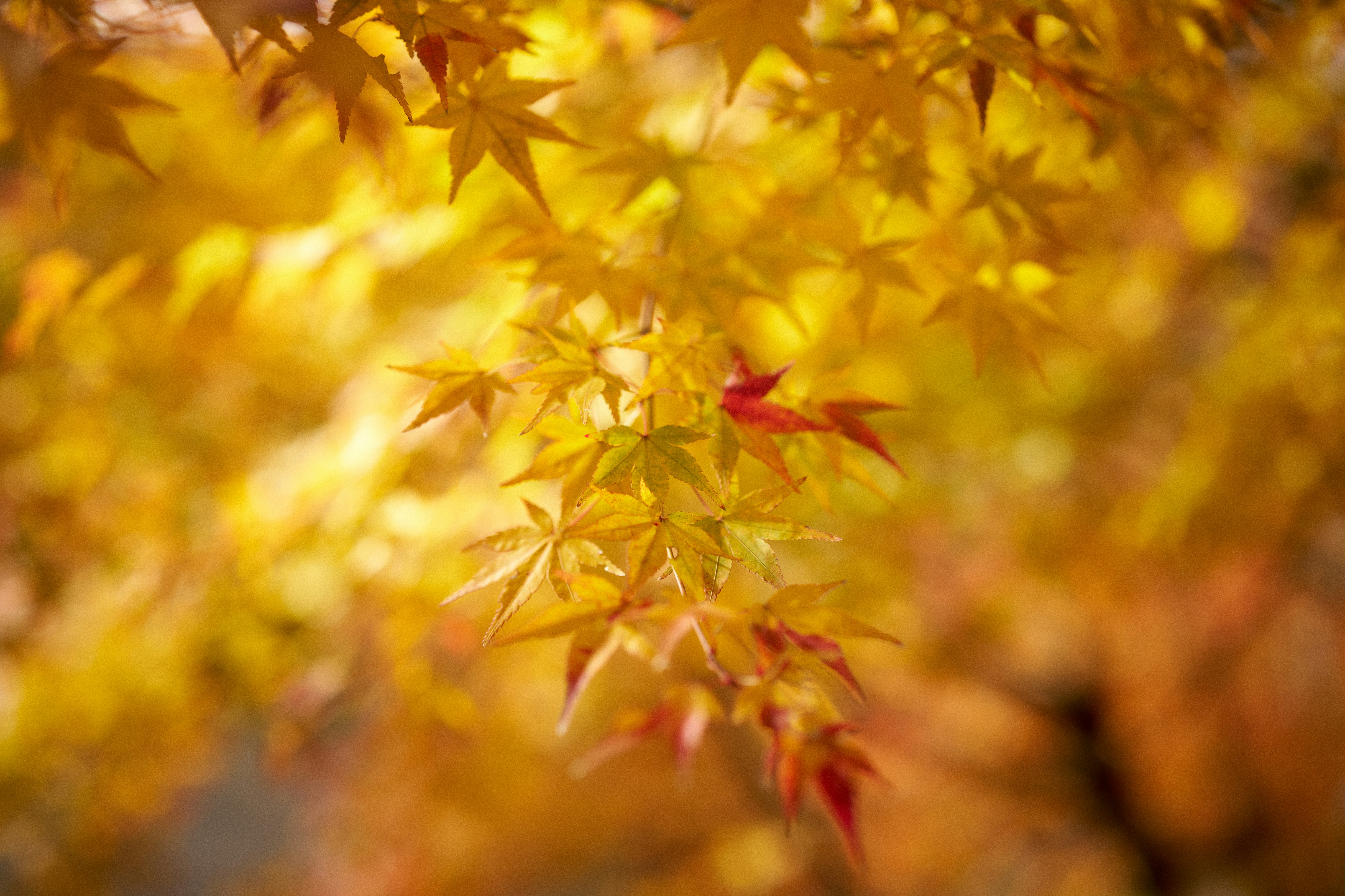 Photo by stbuddyp