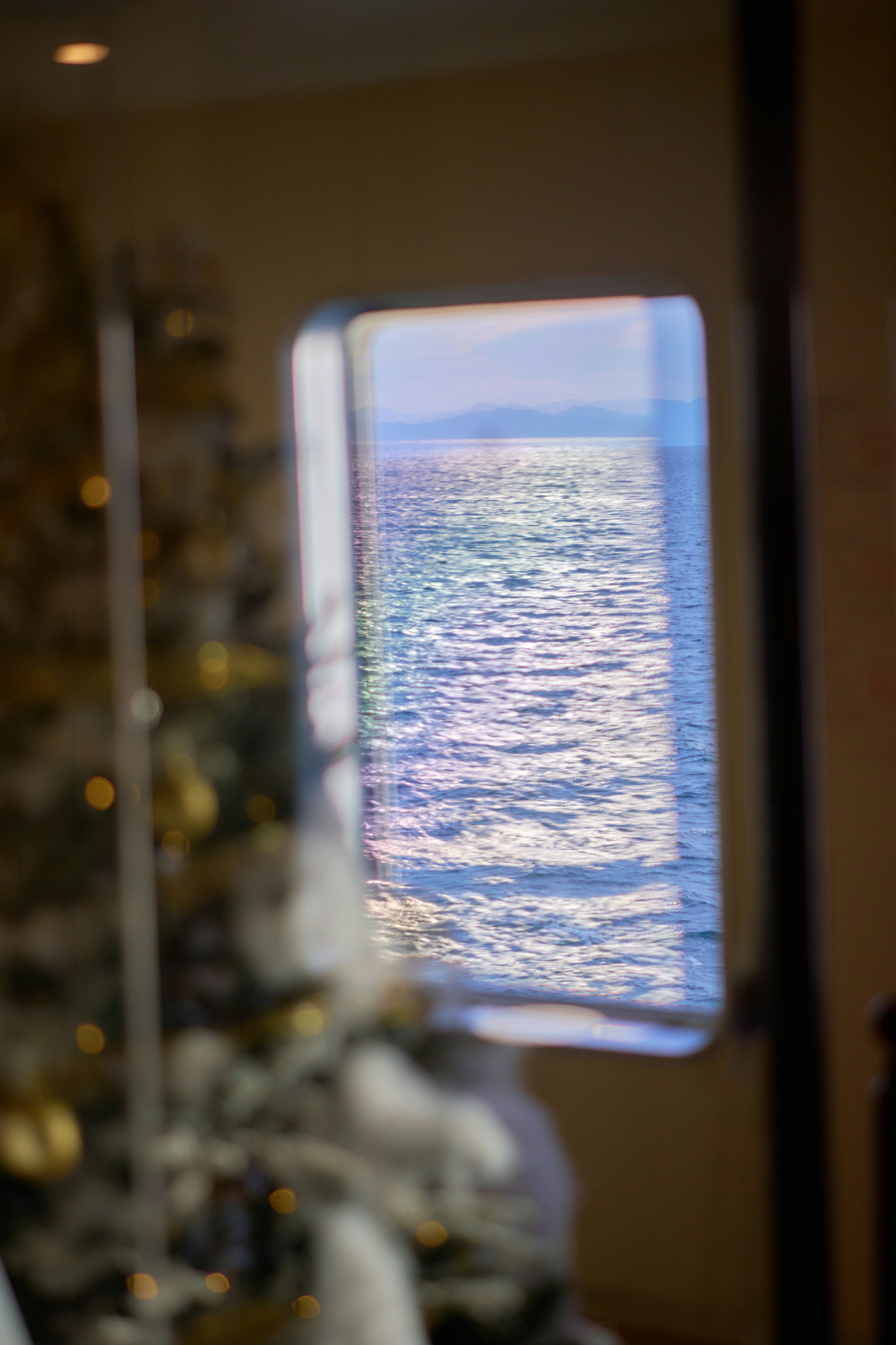 A decorated christmas tree in front of a window