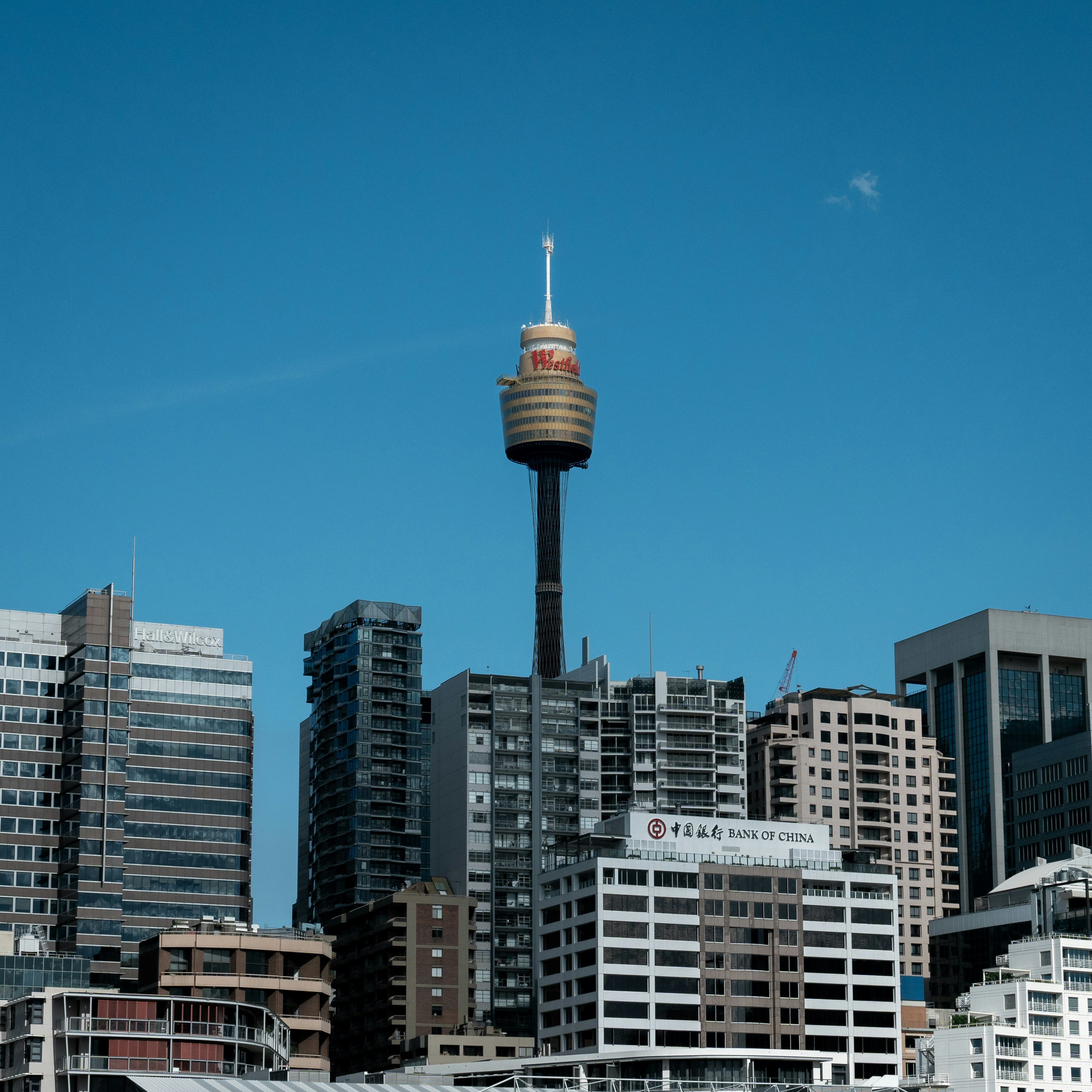 Un horizonte urbano con edificios altos y una torre de agua
