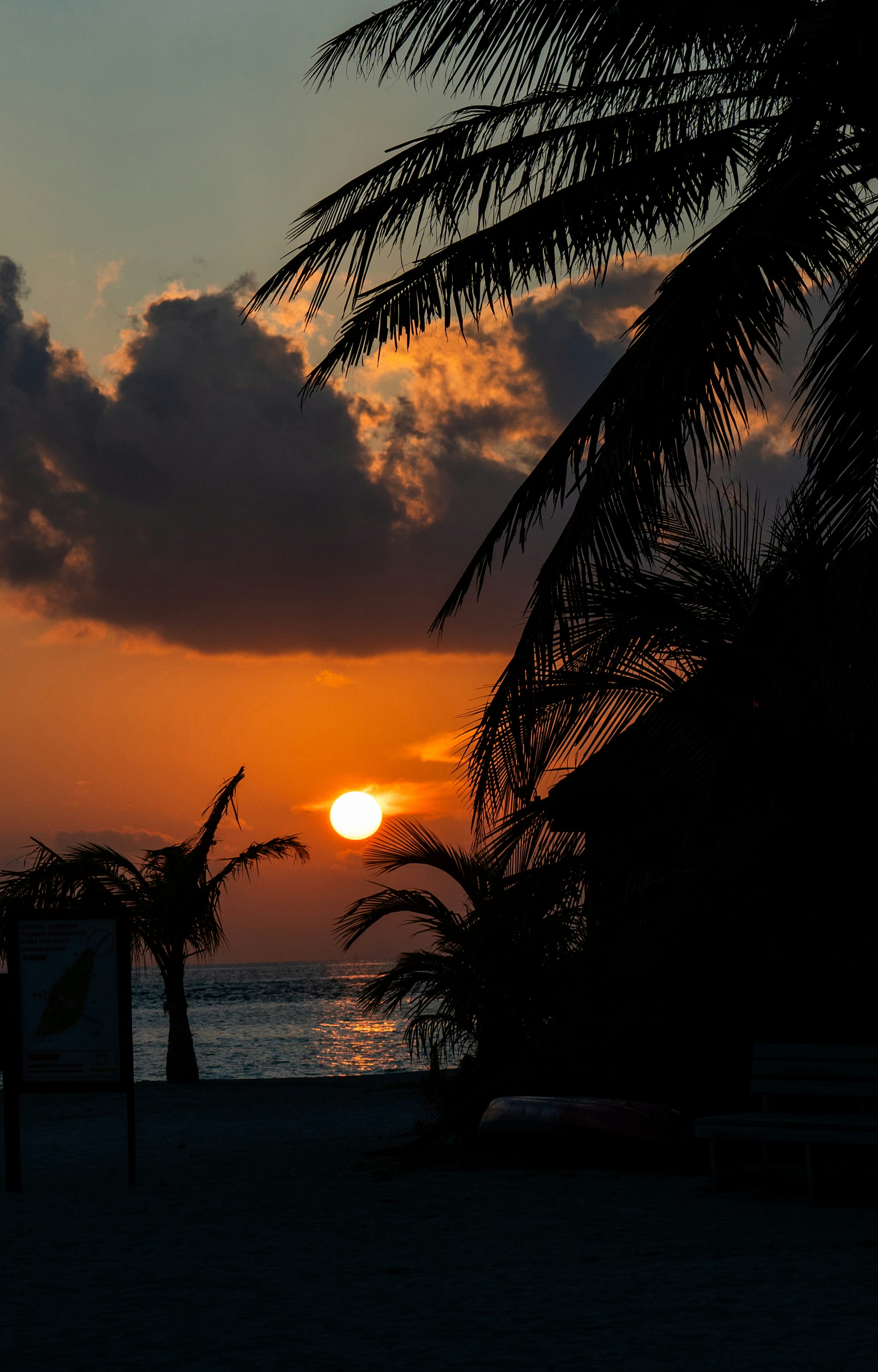 Photo by danielsphotograpic