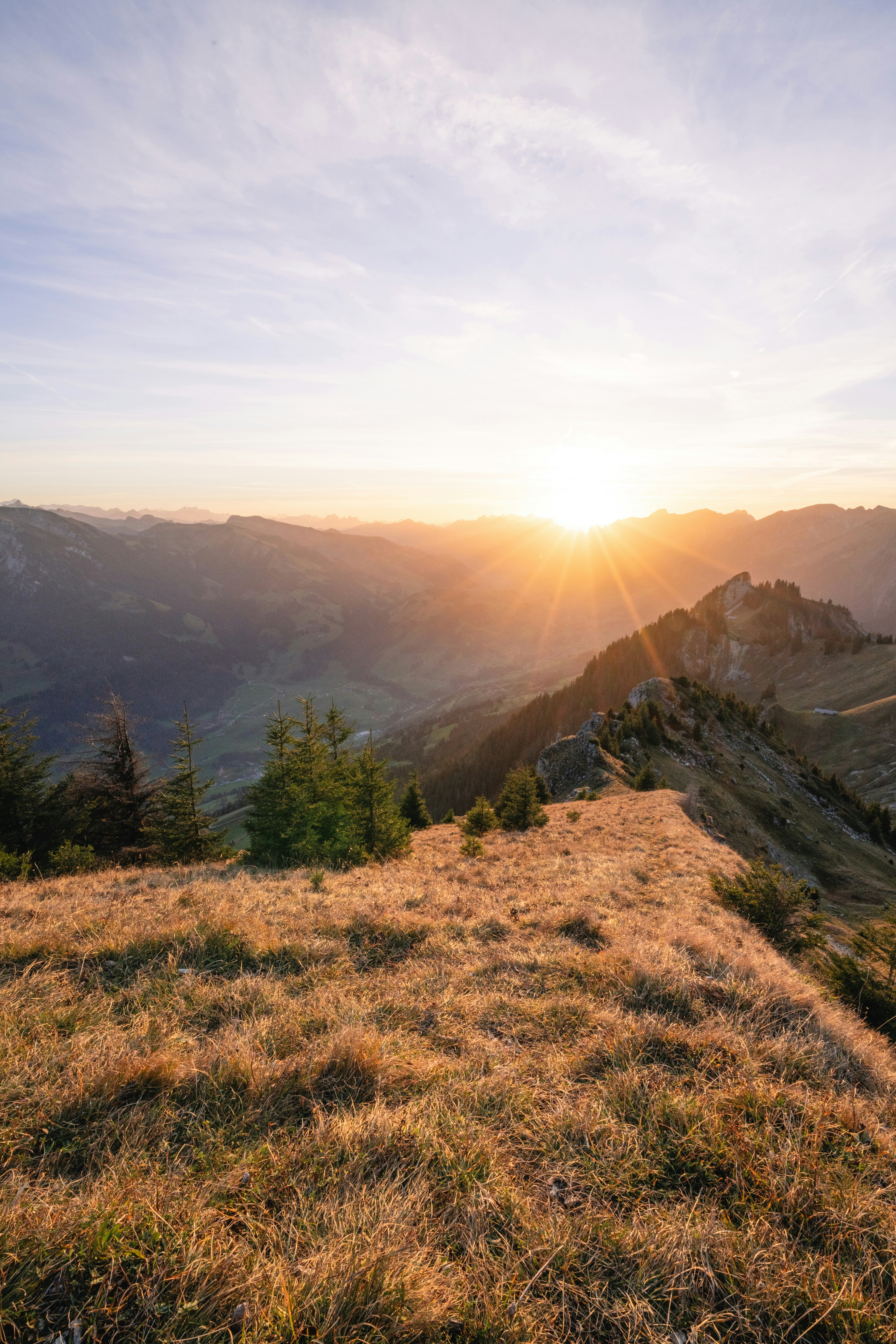 Photo by liviaphotographs