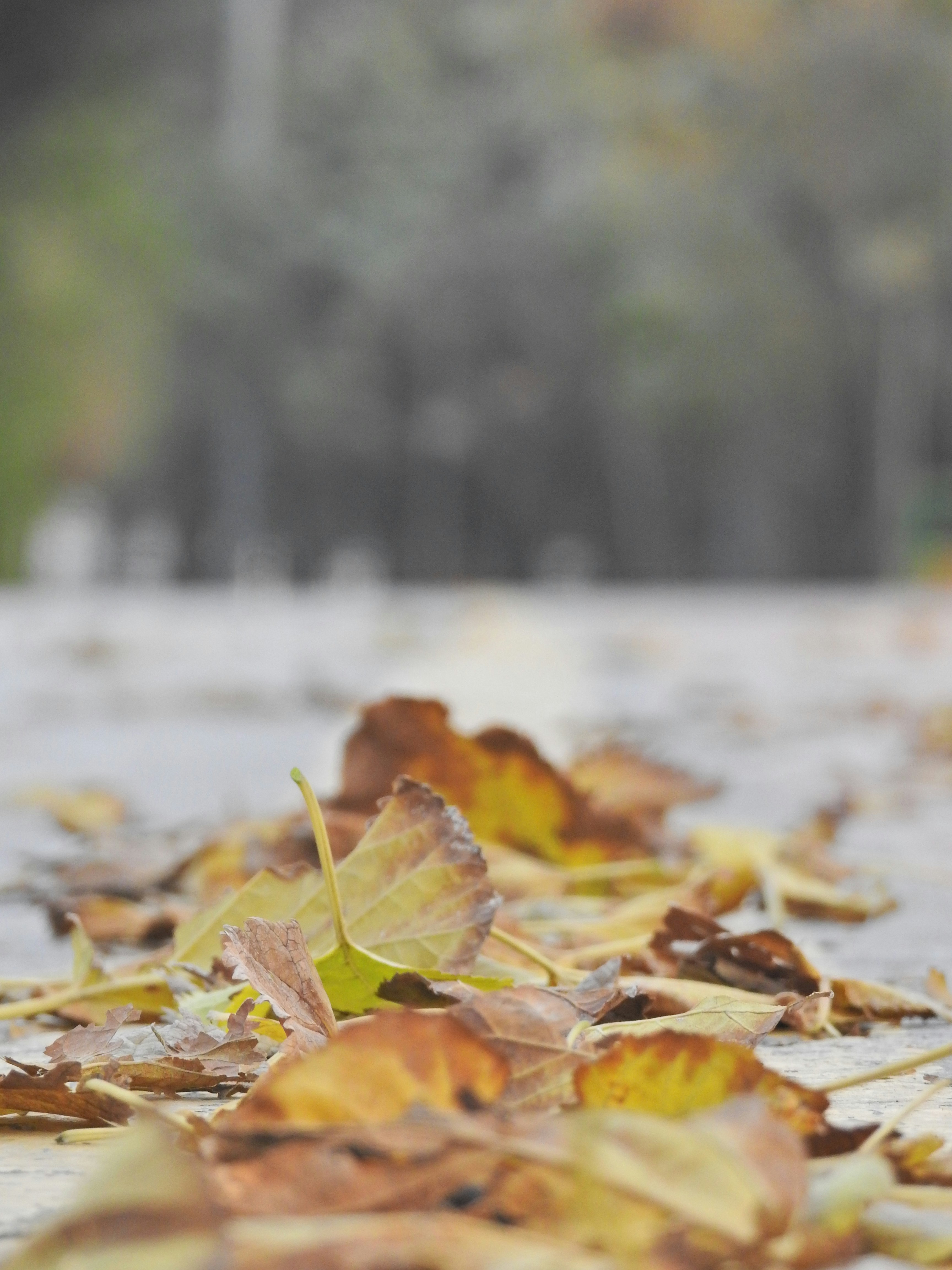 Photo by sepehrfeghhi