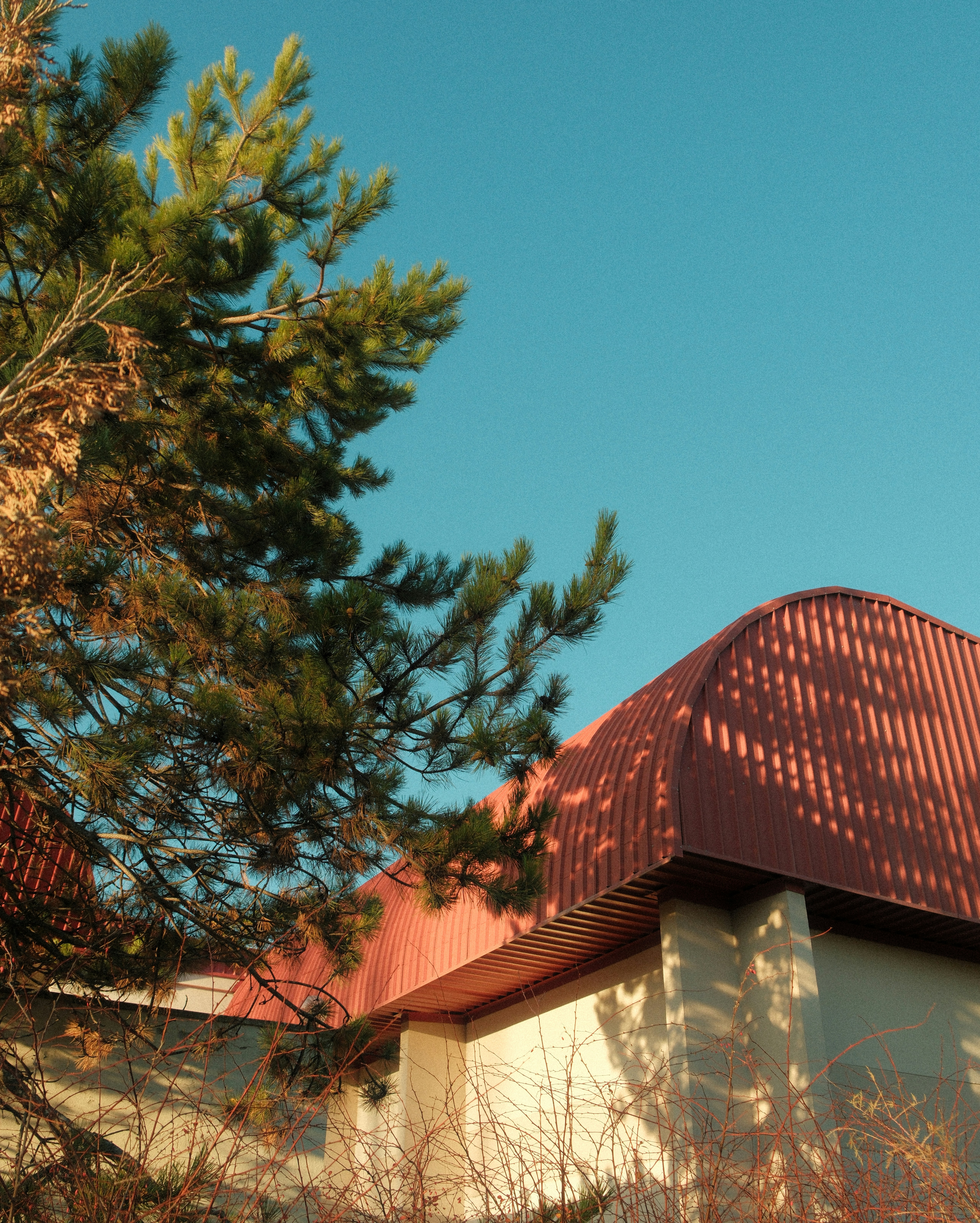 Photo by ismailefetop