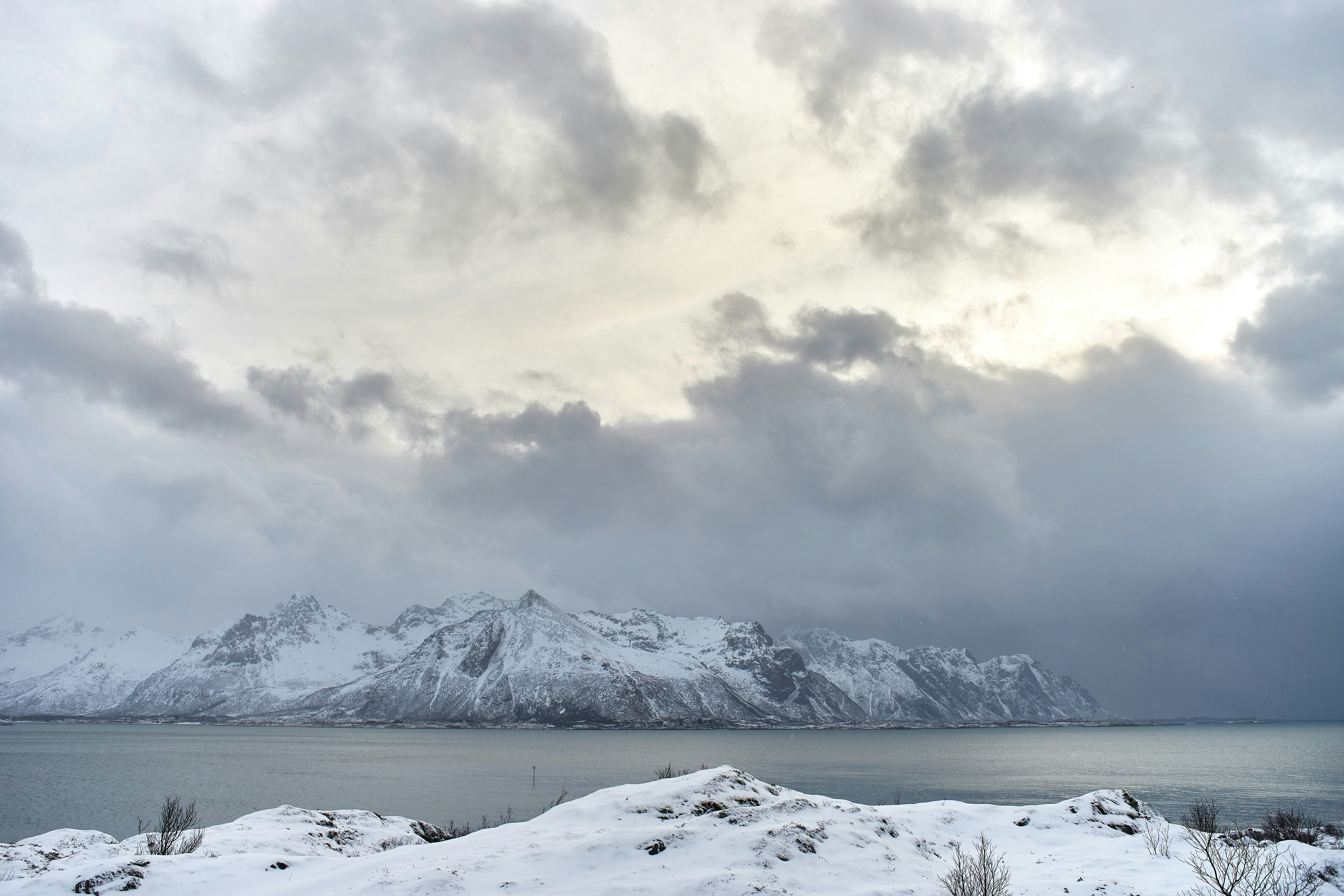 Photo by wolfgang_hasselmann