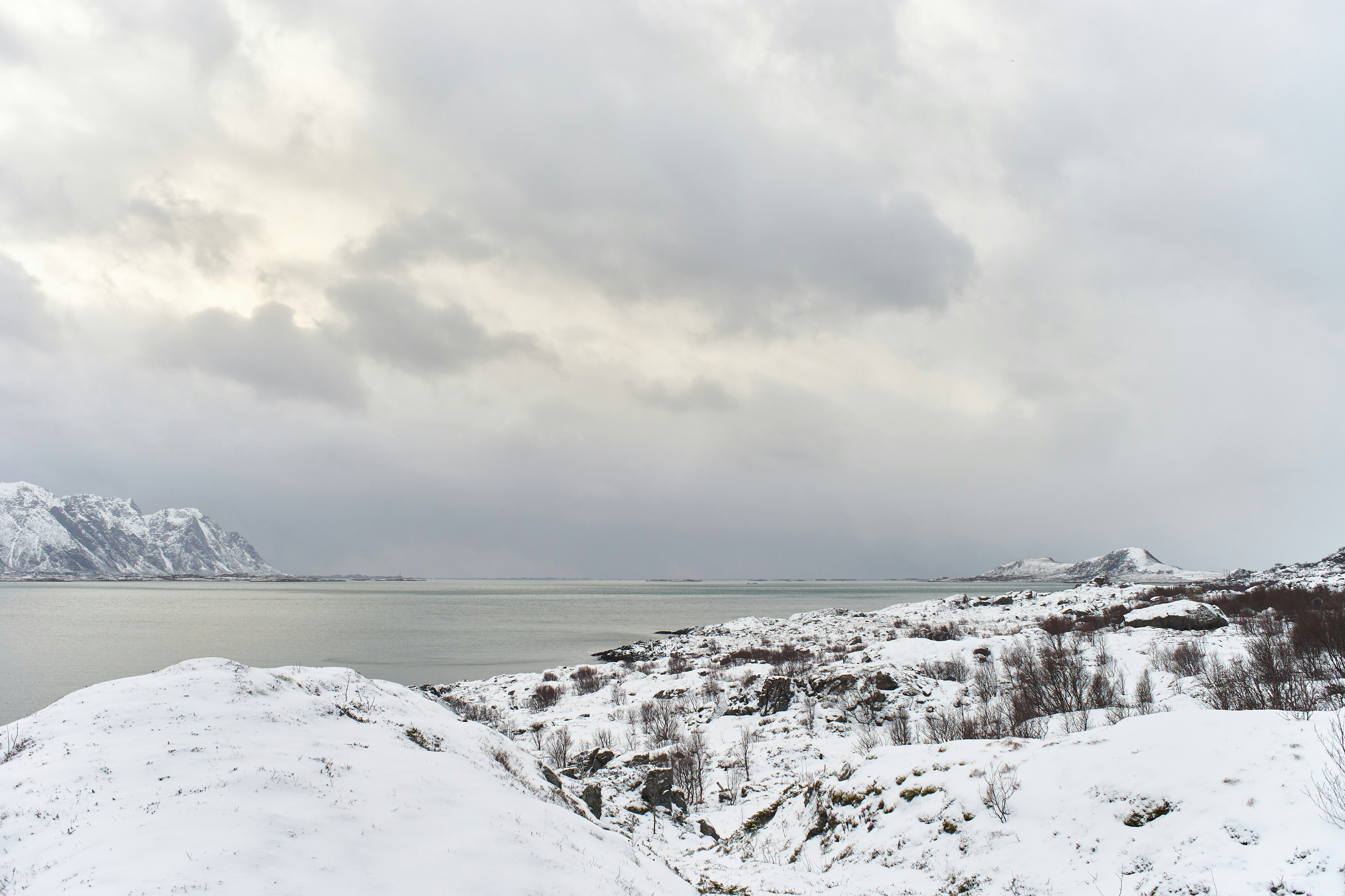 Photo by wolfgang_hasselmann