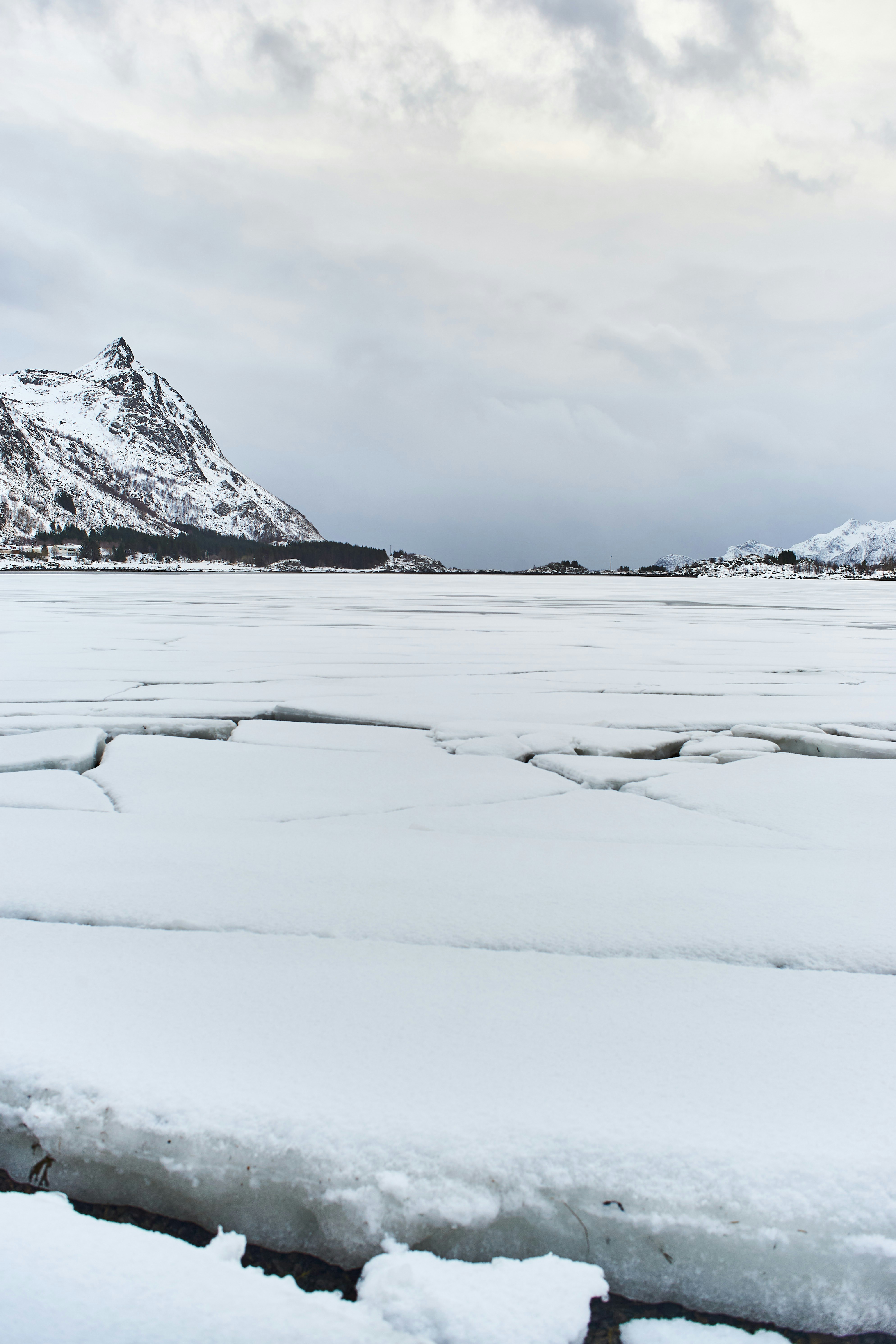 Photo by wolfgang_hasselmann