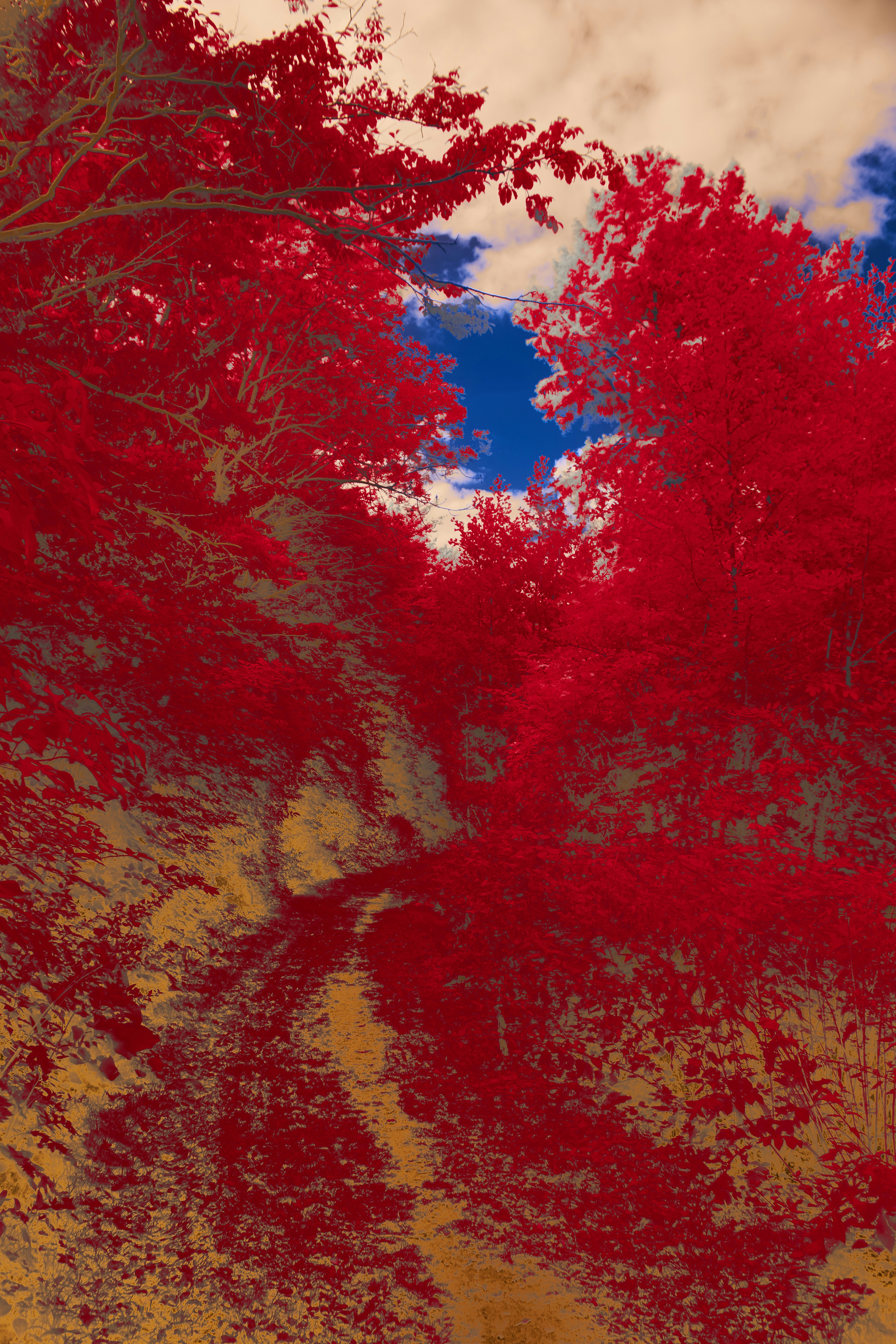 Photo by wolfgang_hasselmann