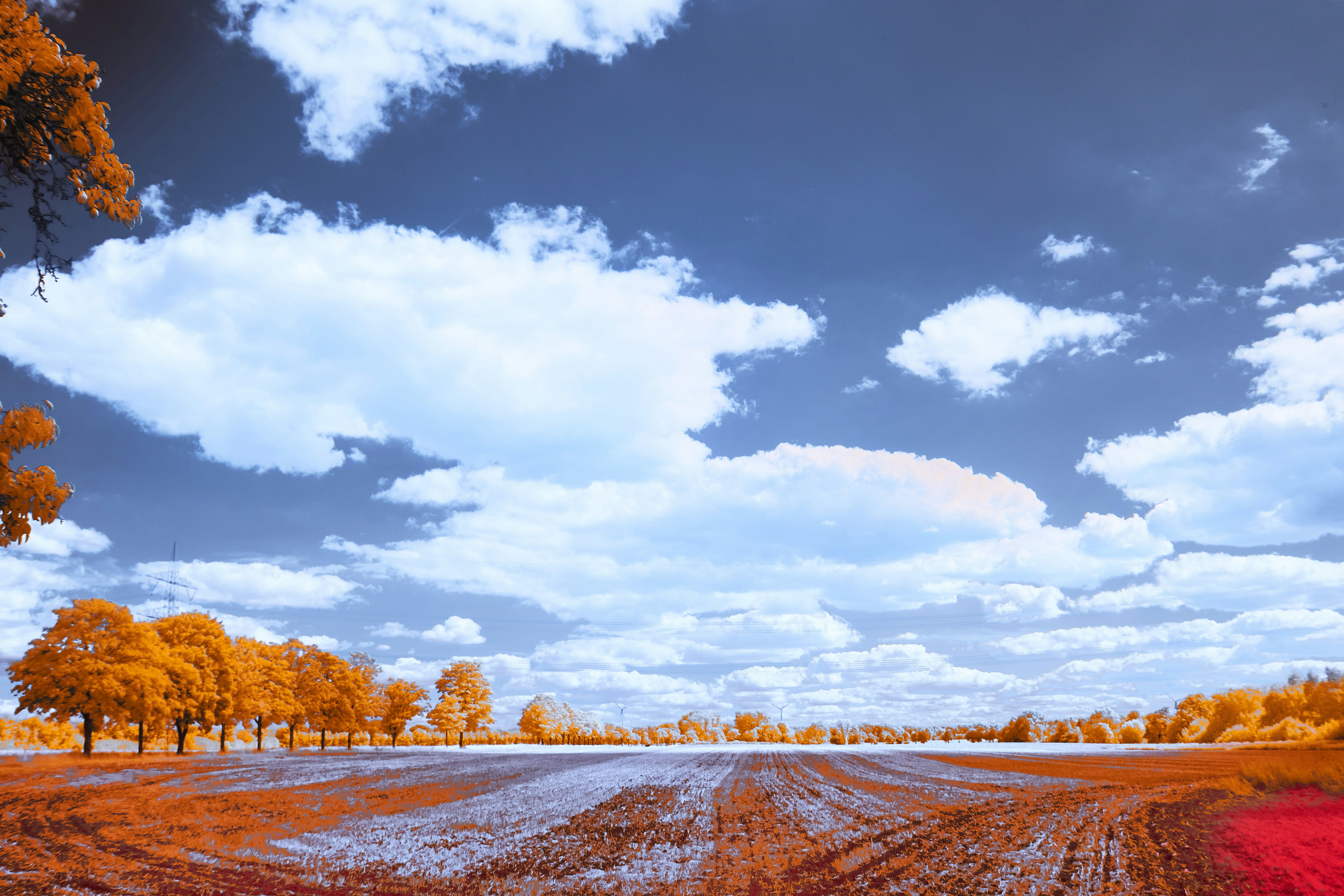 Photo by wolfgang_hasselmann