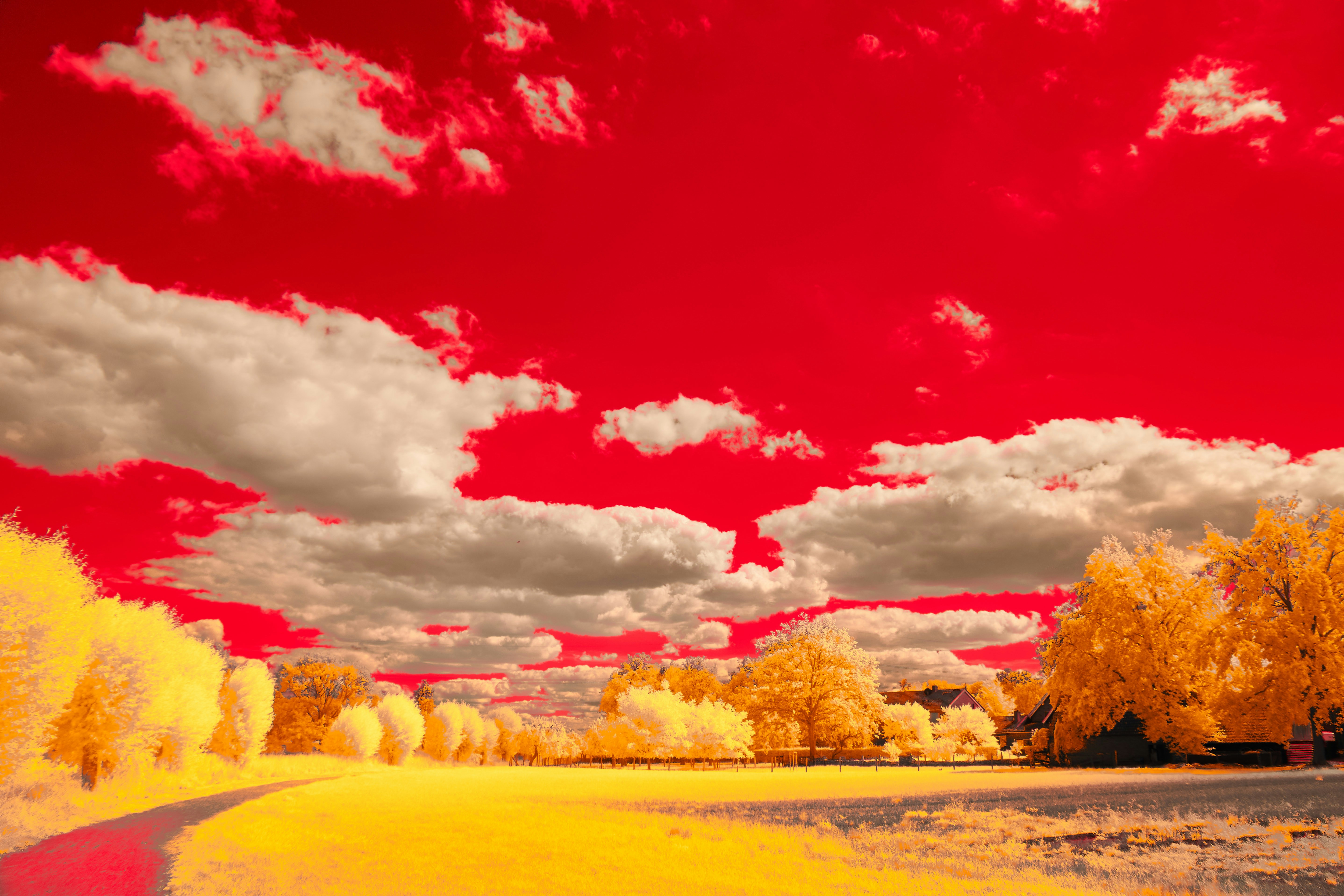 Photo by wolfgang_hasselmann