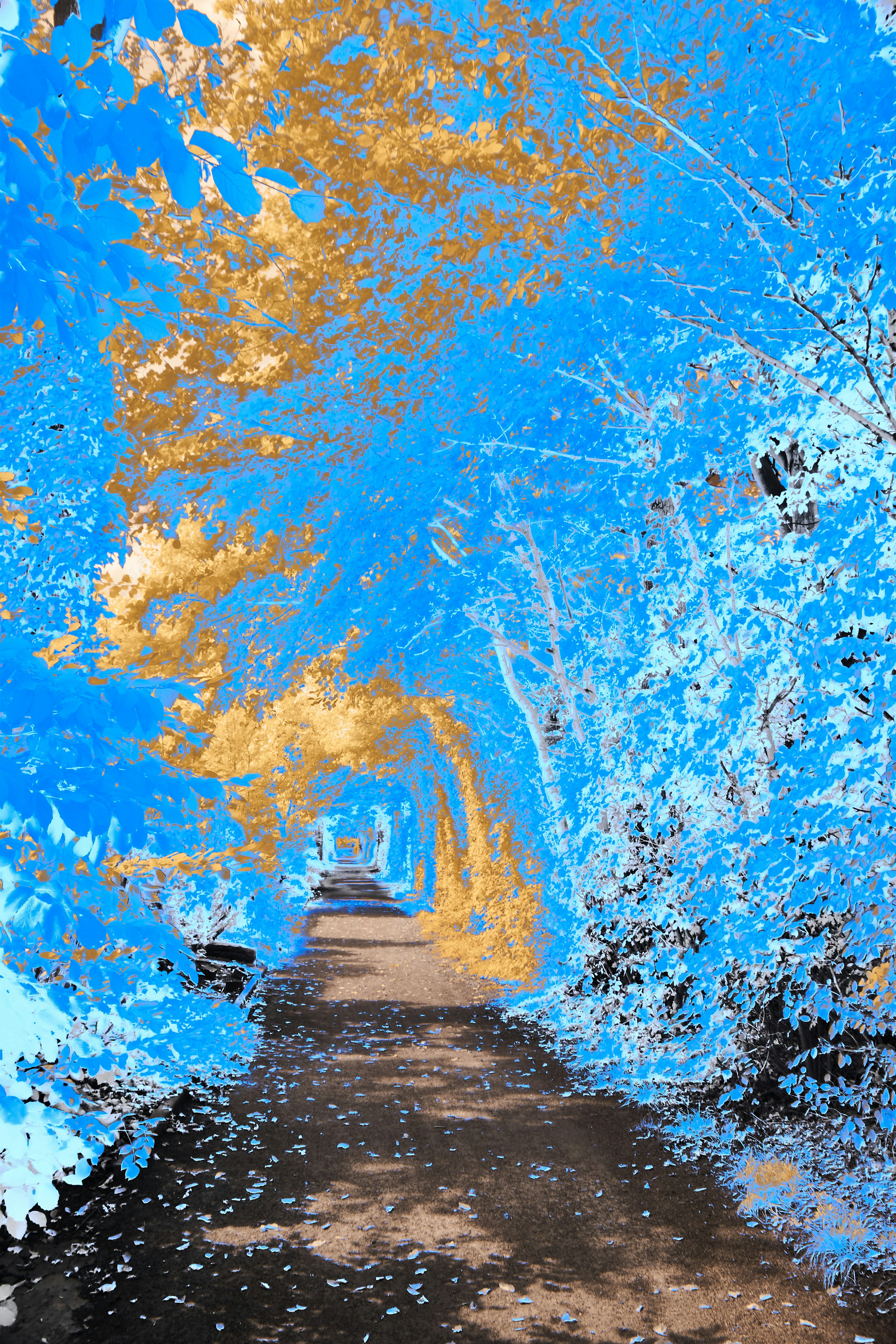 Photo by wolfgang_hasselmann