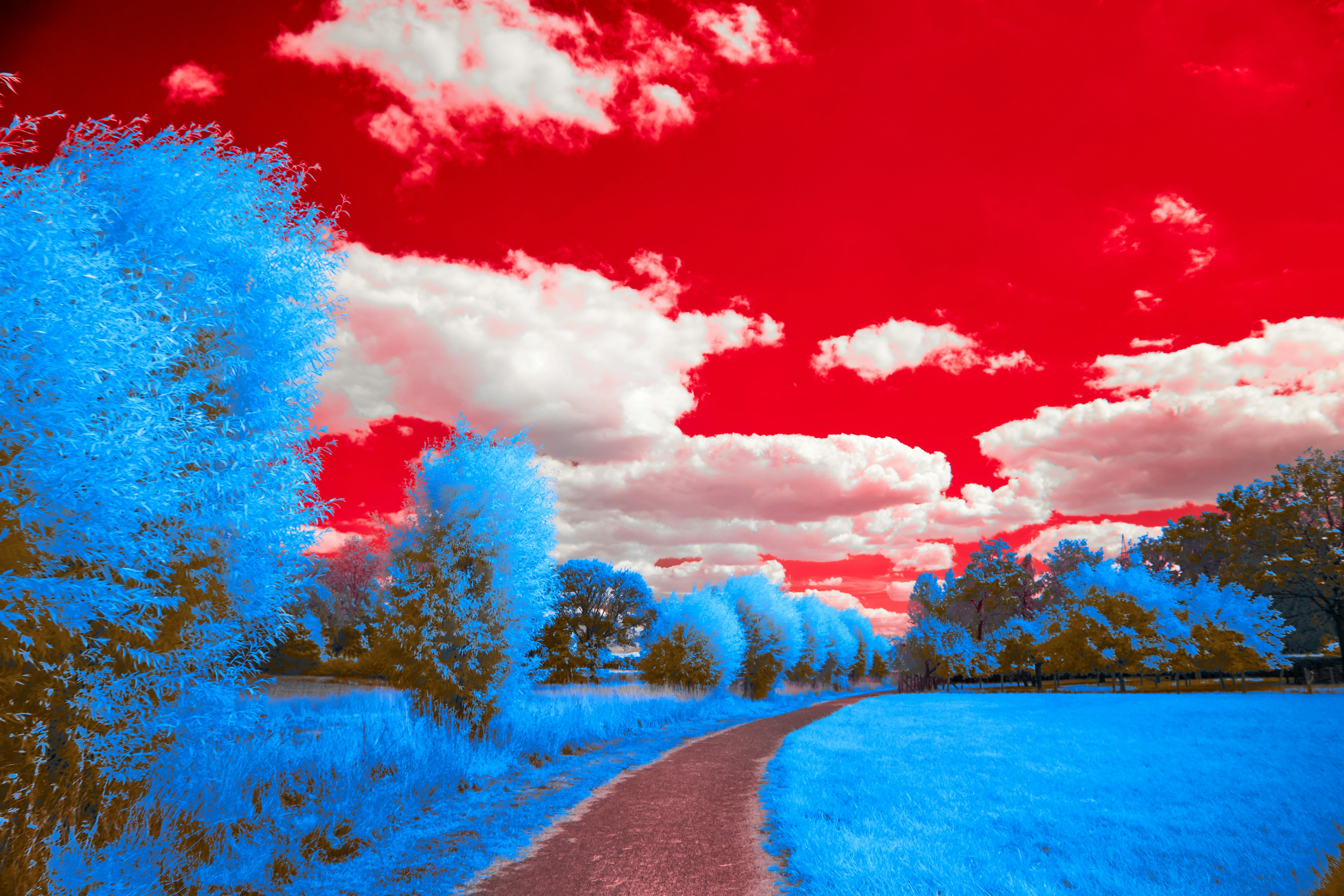 Photo by wolfgang_hasselmann