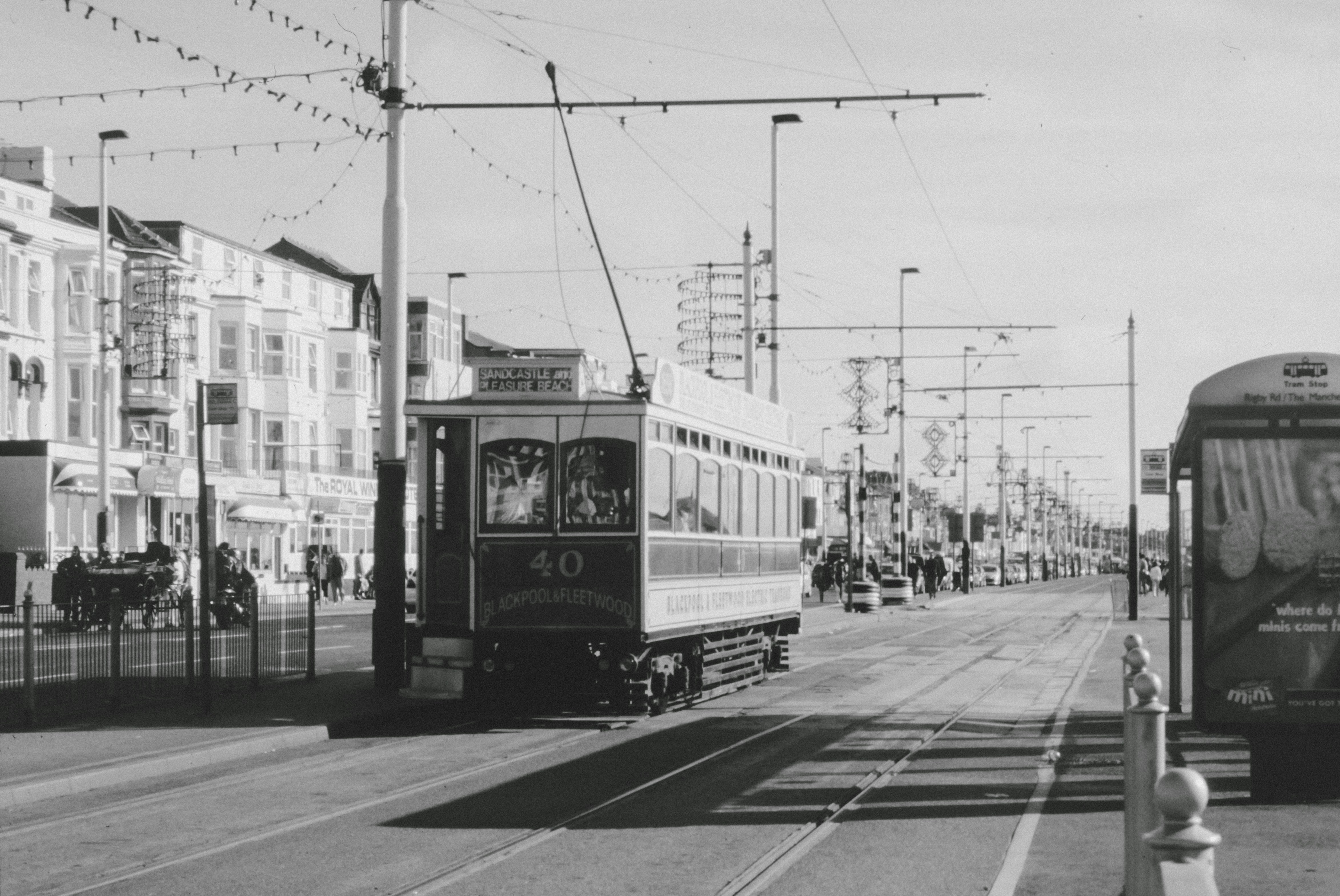 Photo by anniespratt