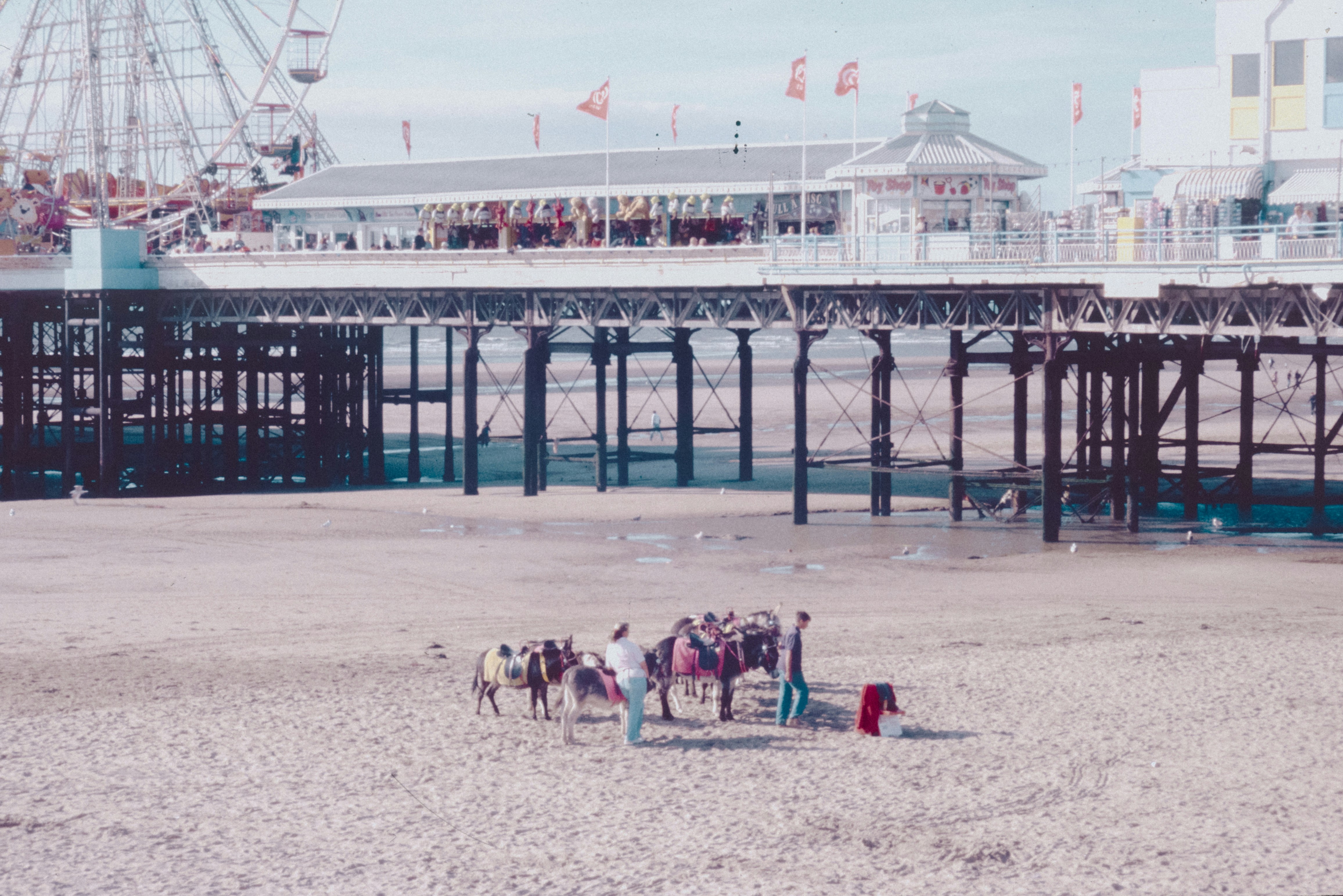 Photo by anniespratt