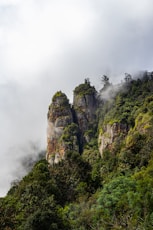 A mountain covered in trees and clouds in the distance