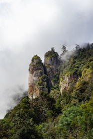 A mountain covered in trees and clouds in the distance