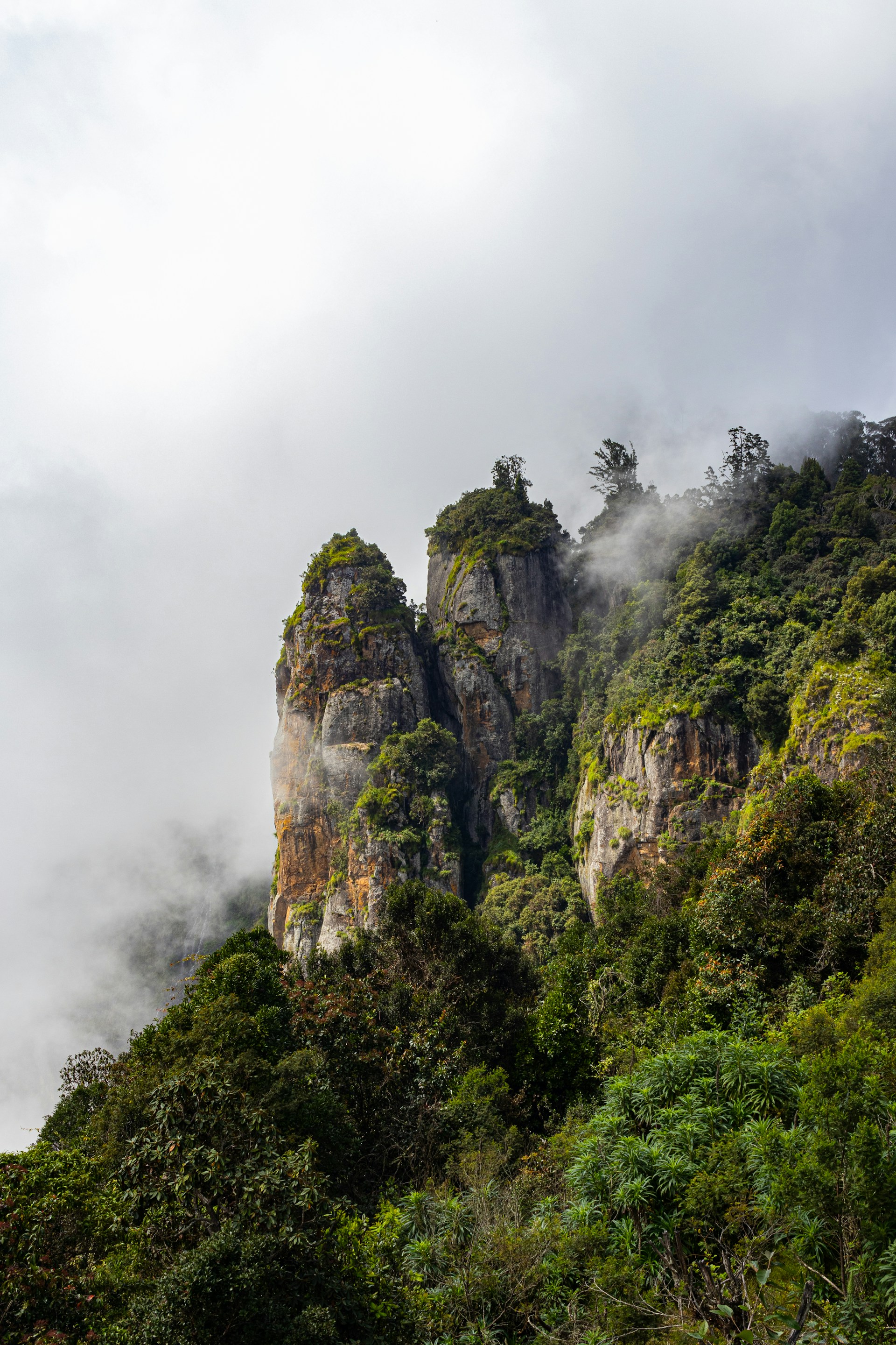 A mountain covered in trees and clouds in the distance