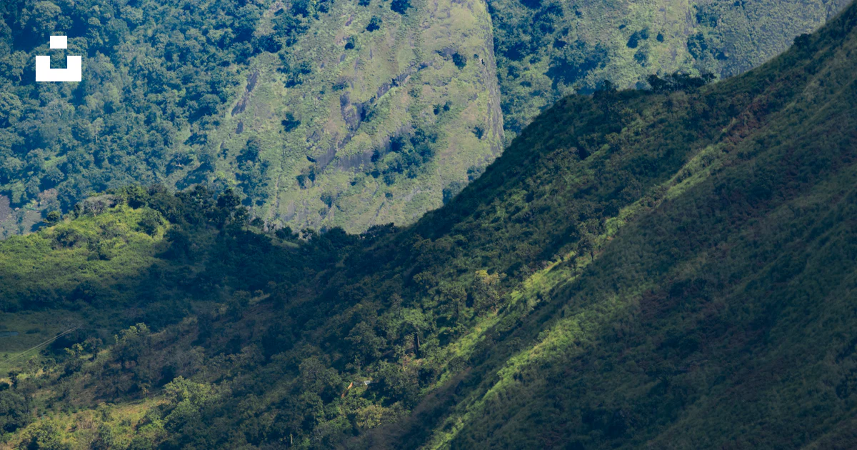 Lushed A view of a lush green mountain side photo โ Free India Image on Unsplash