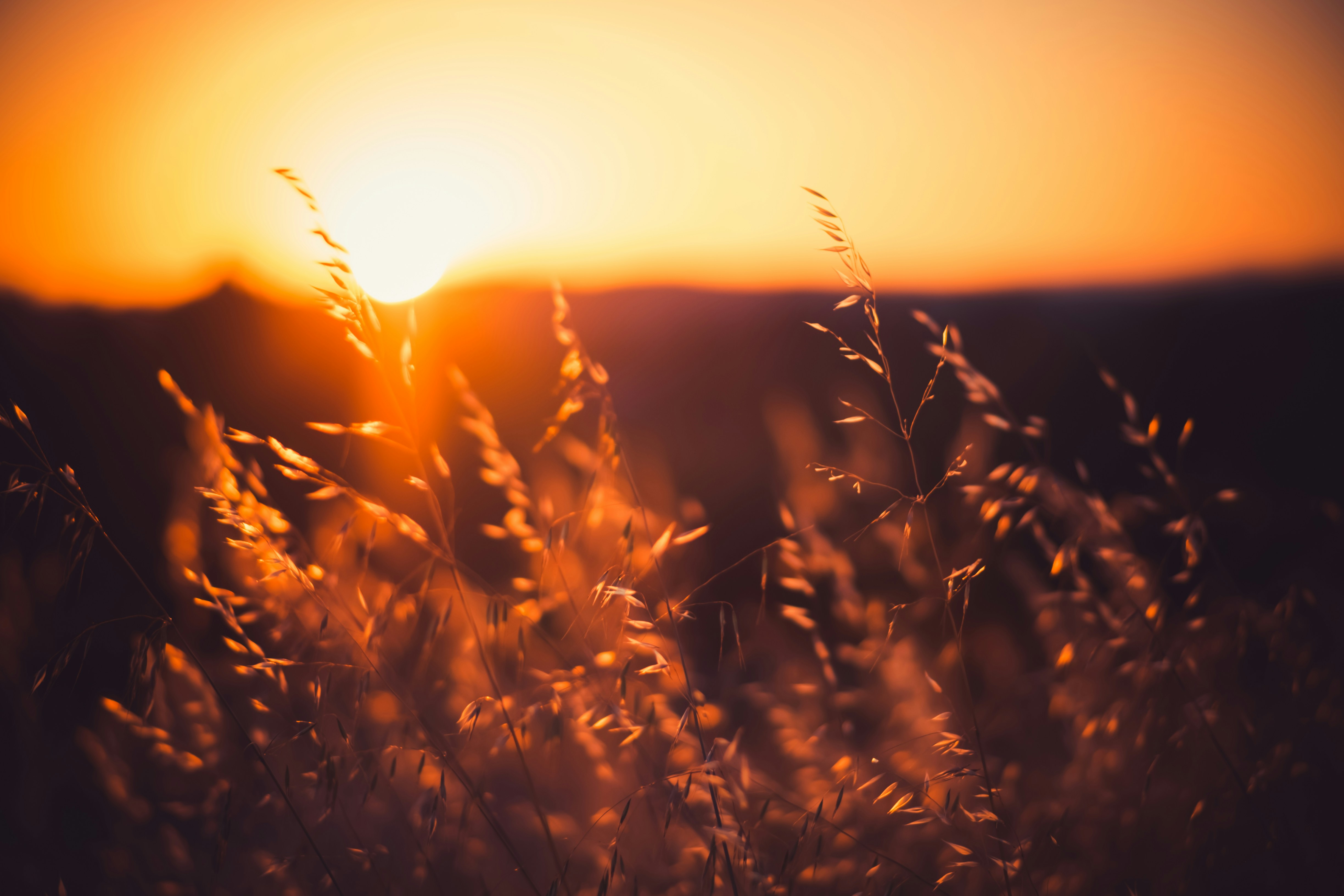 Photo by aperturevintage