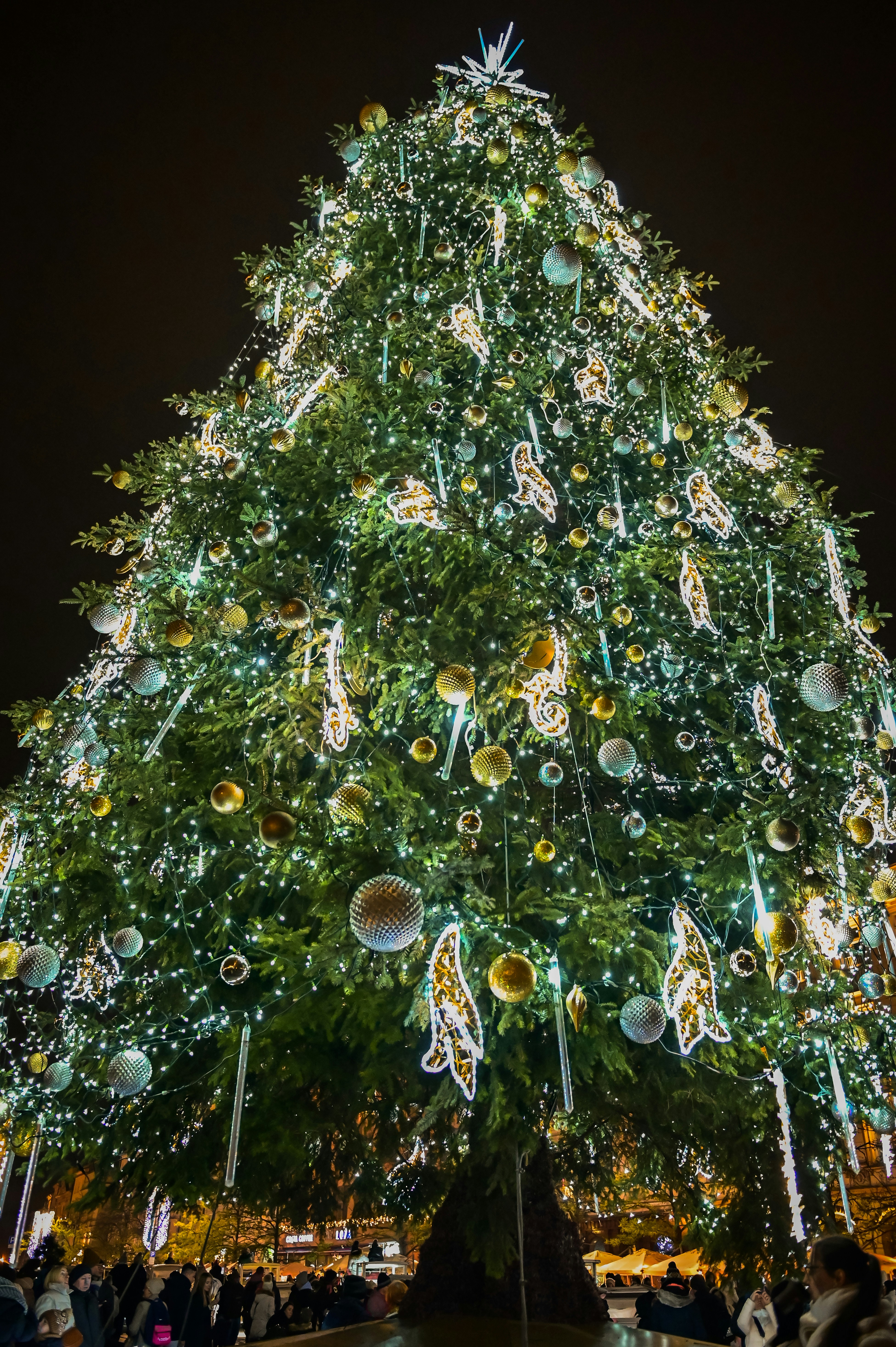 Photo by alexandra_p_d