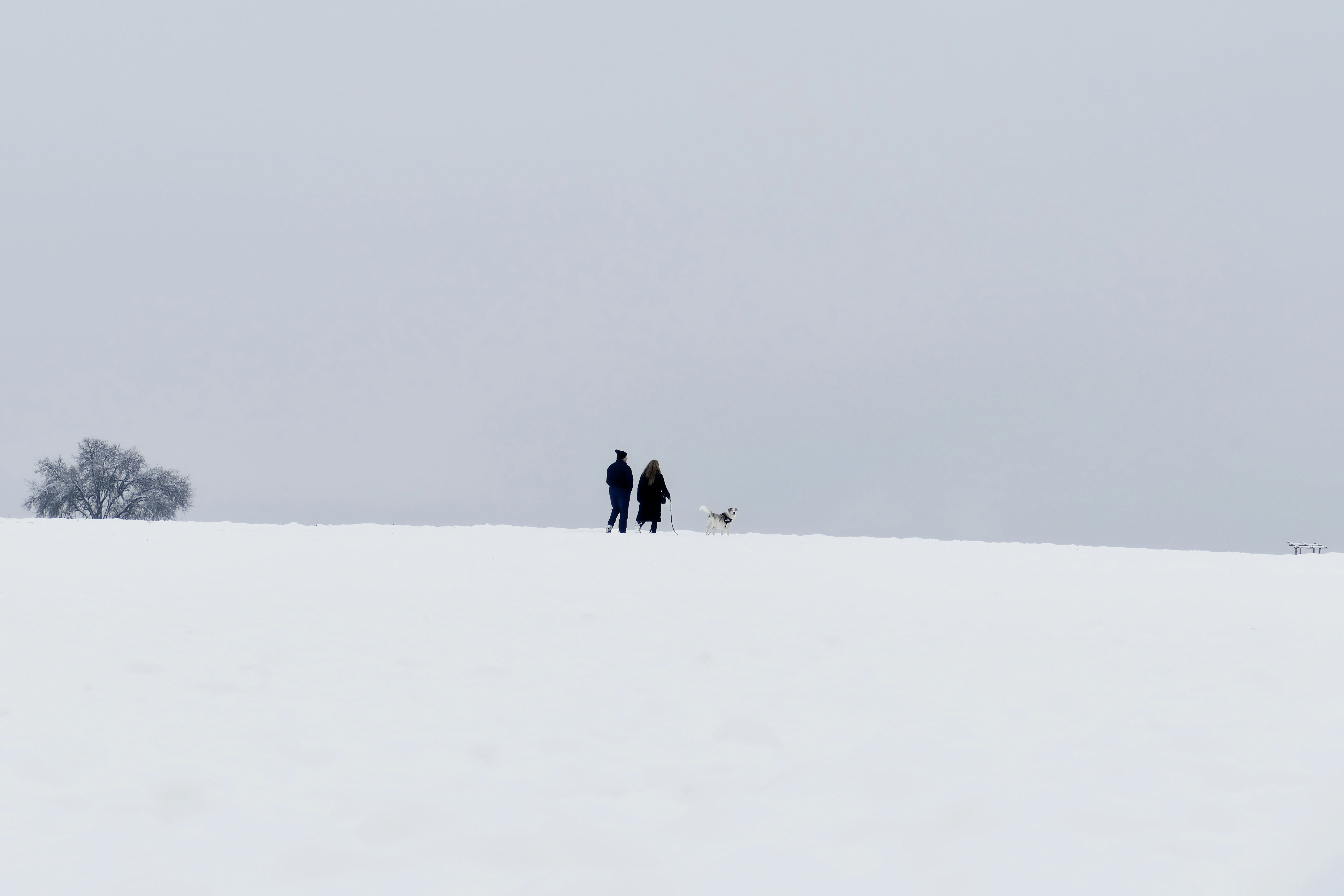 Ein paar Leute laufen über ein schneebedecktes Feld