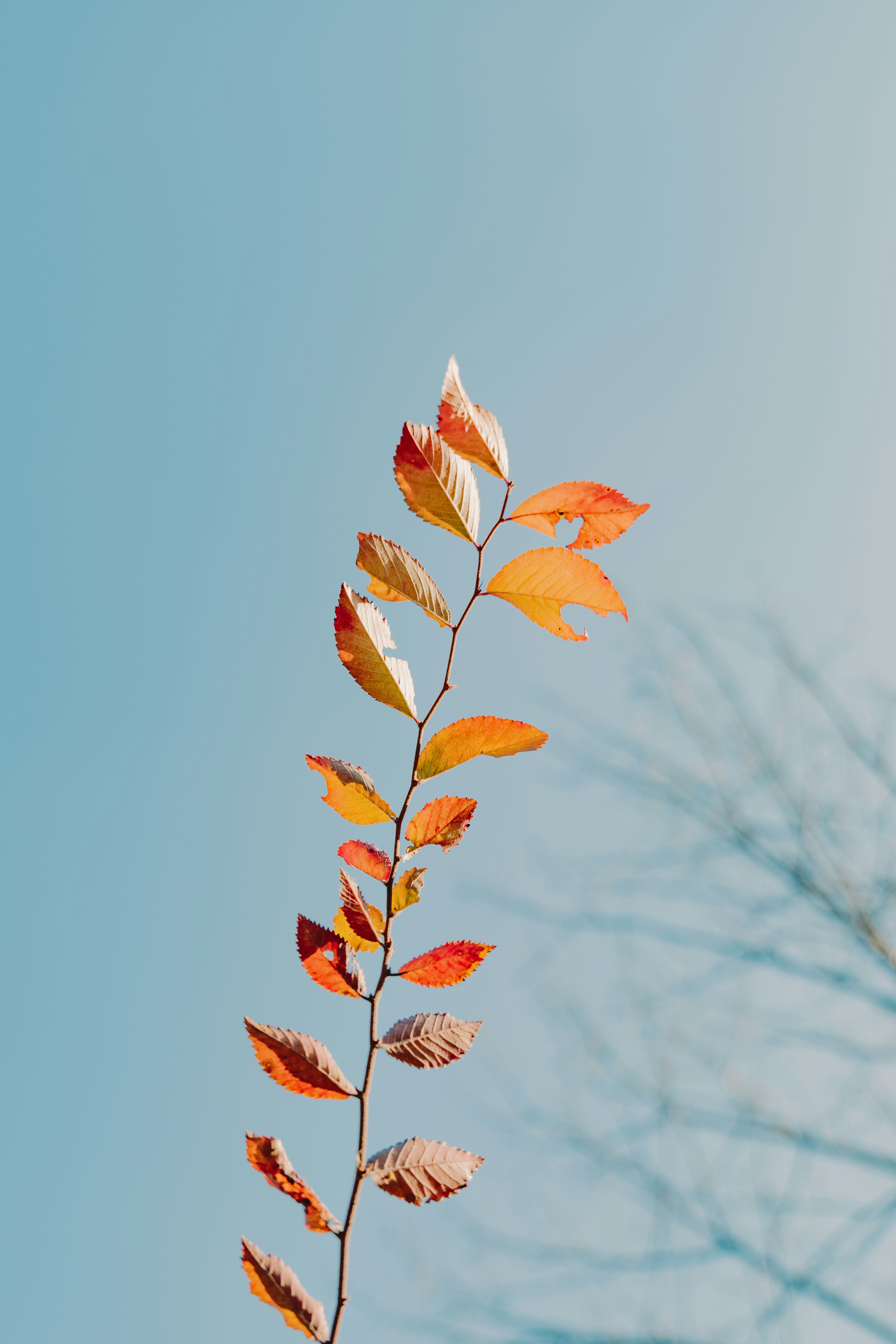 Photo by aasing_gwok