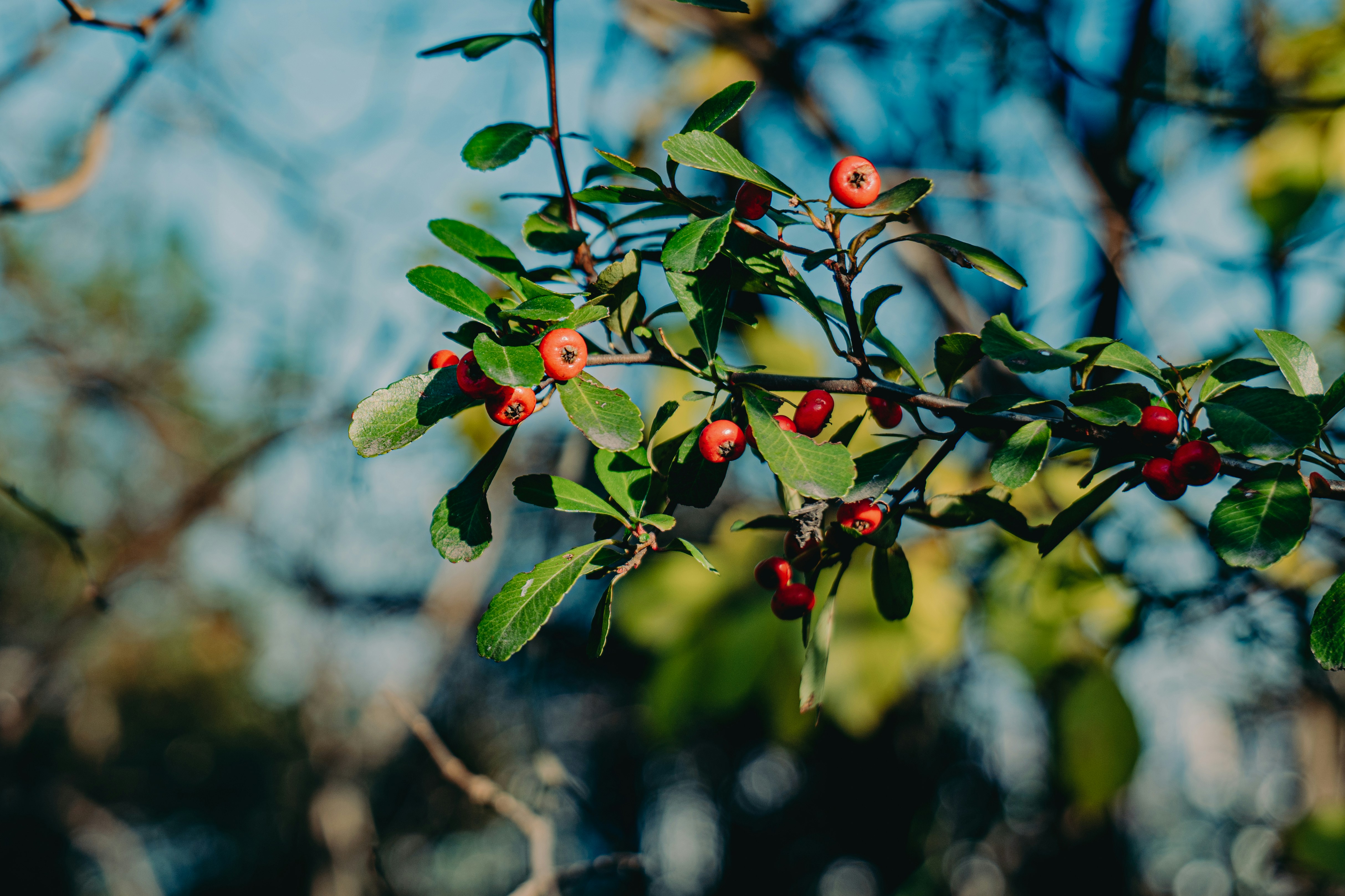 Photo by aasing_gwok