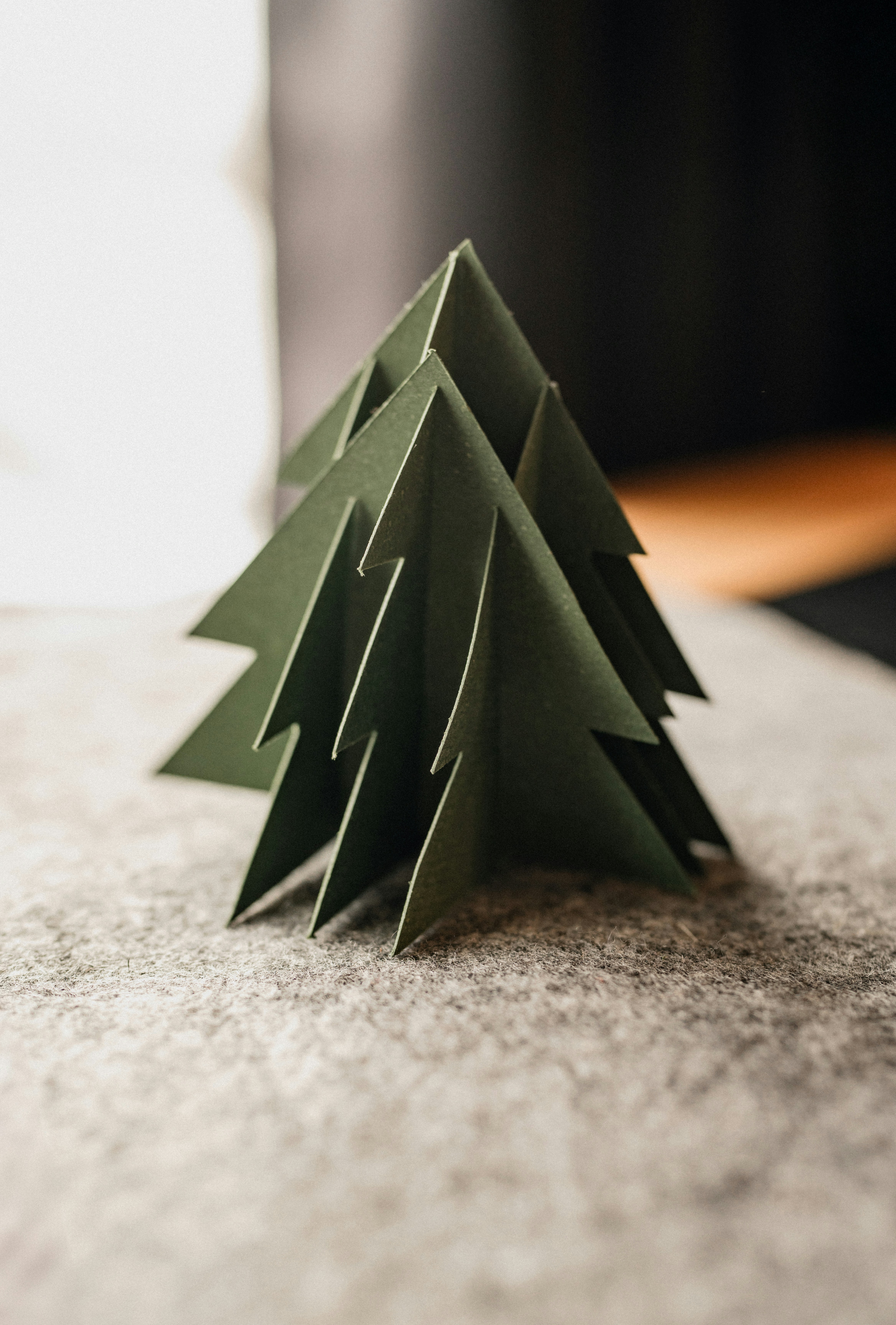 Photo by kellysikkema