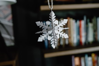 A paper snowflake hanging from a book shelf