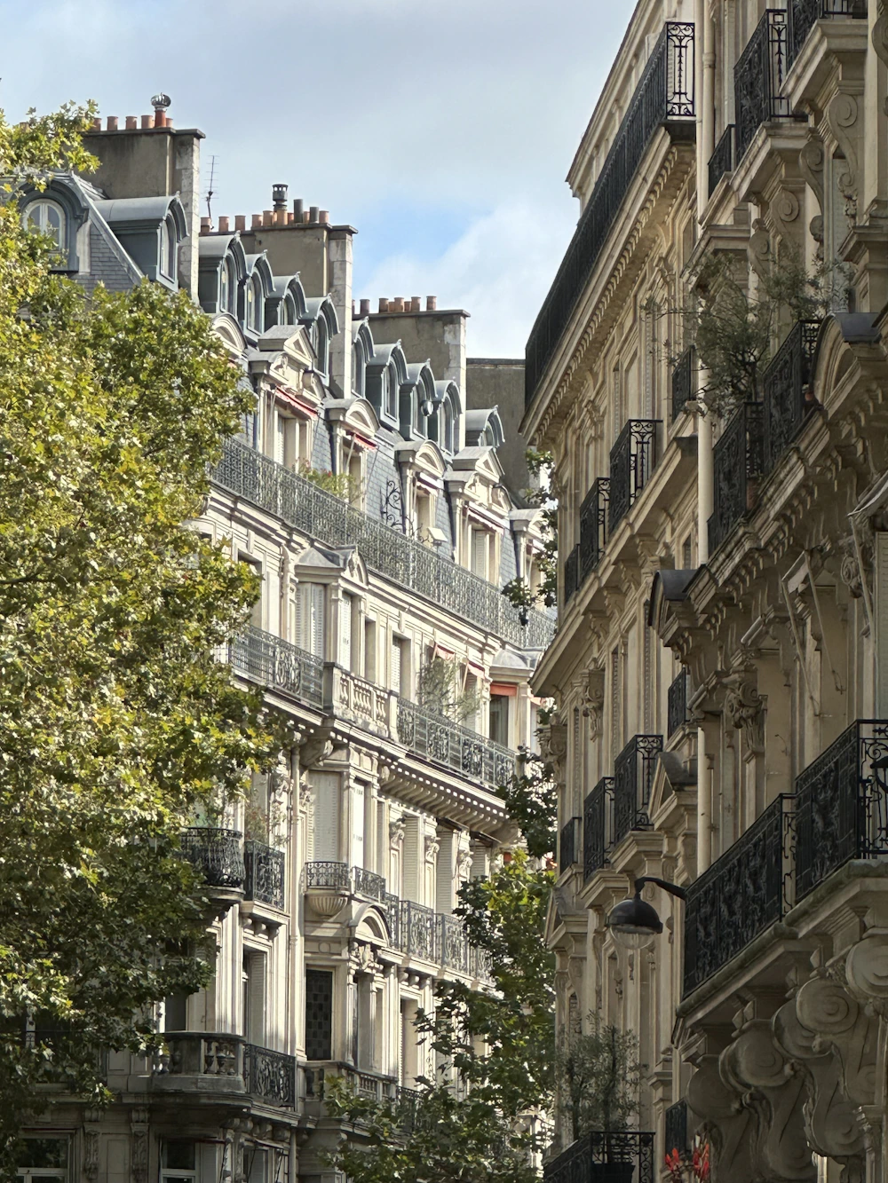 Immeubles et arbres dans une rue de Paris
