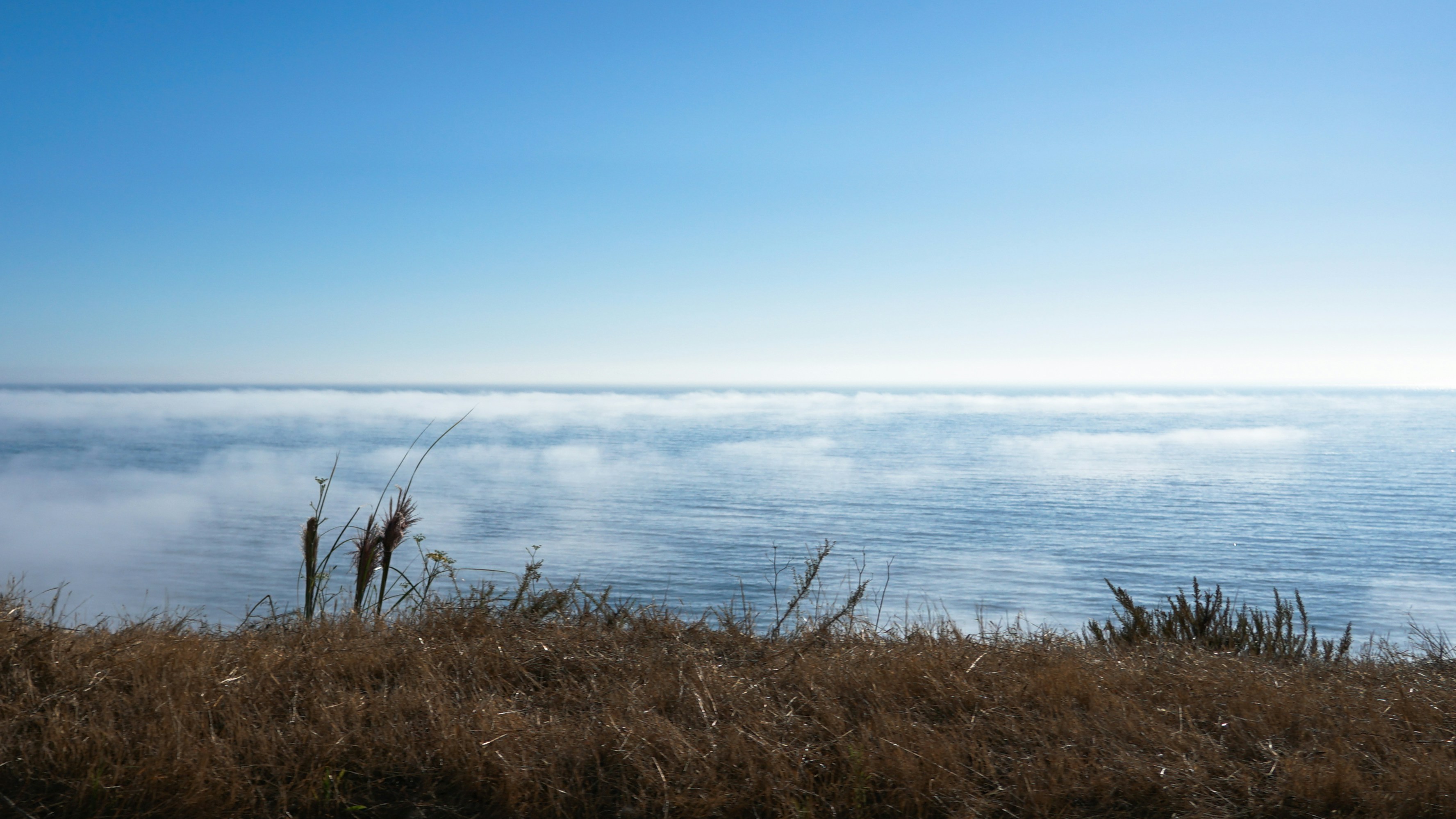 Photo by grandpacomp