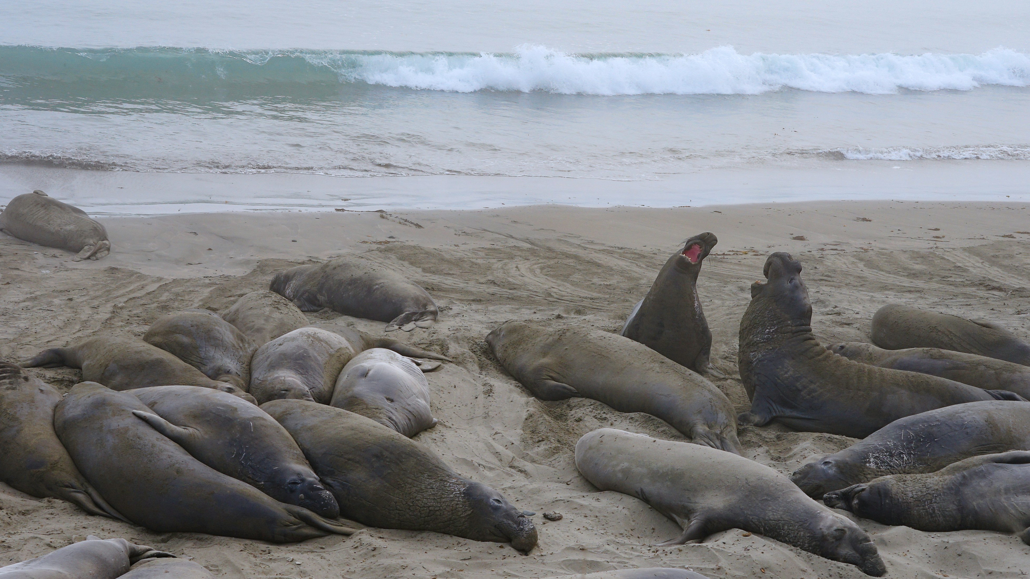 Photo by grandpacomp