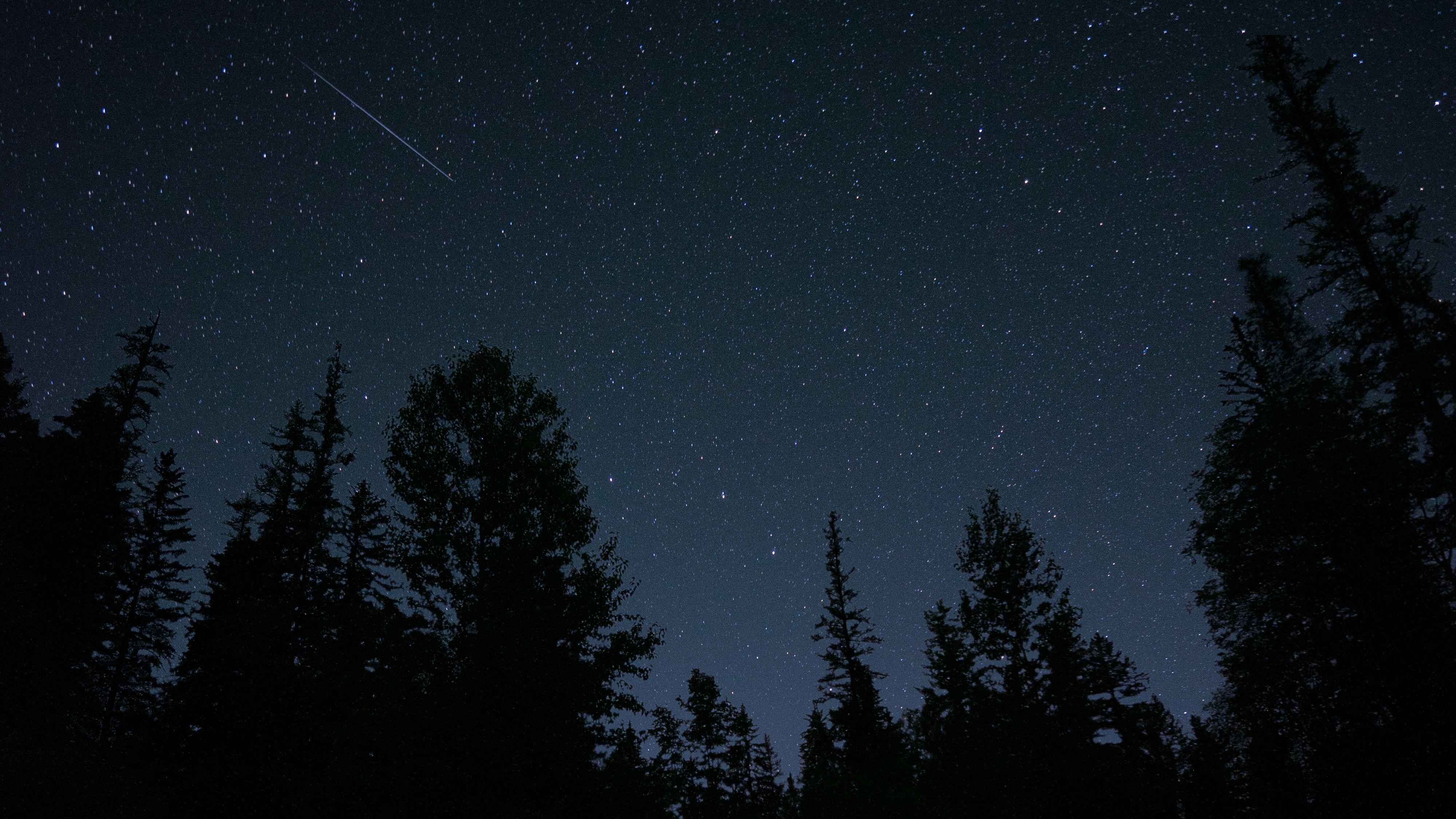 Photo by grandpacomp