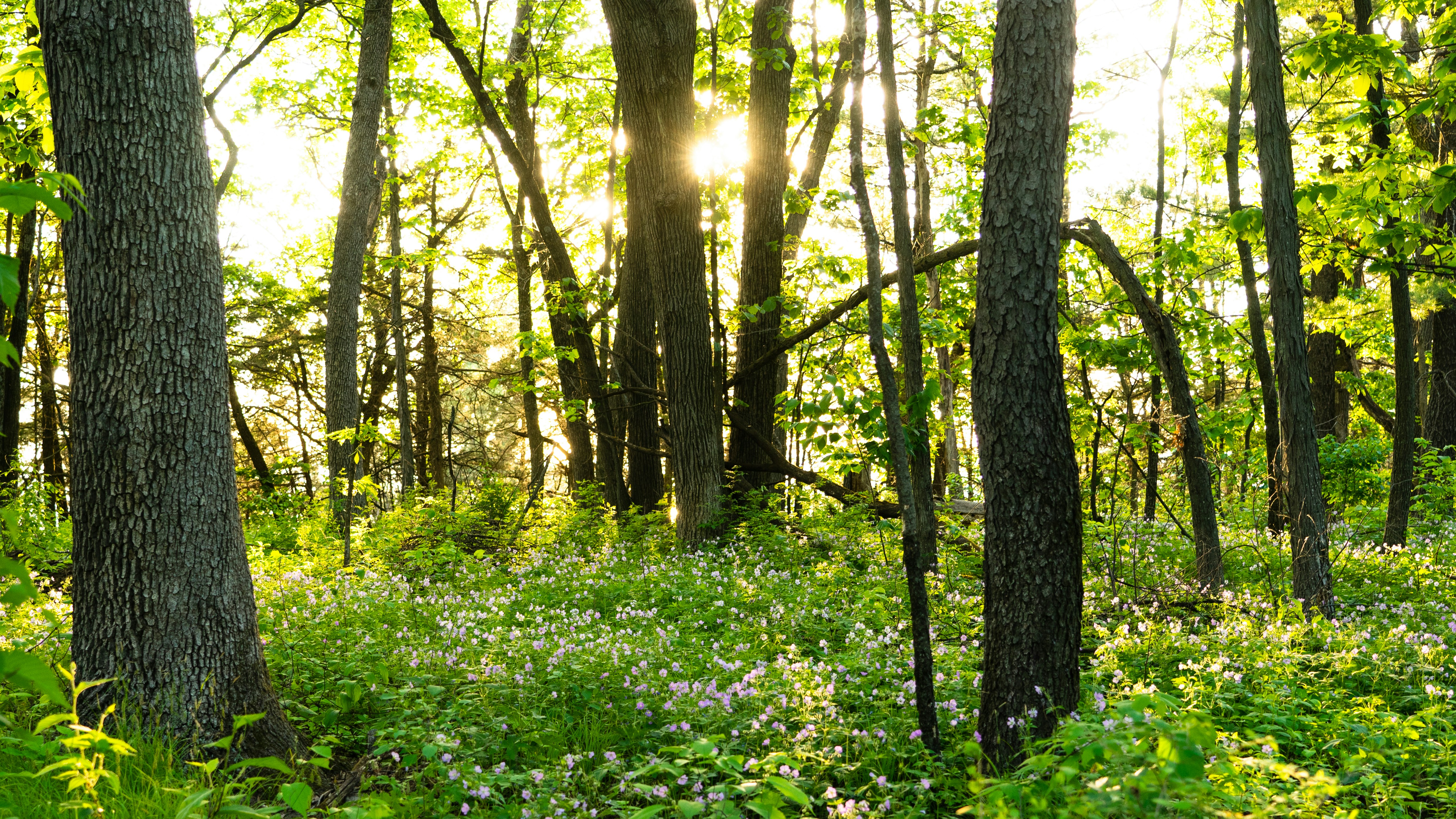 Photo by grandpacomp