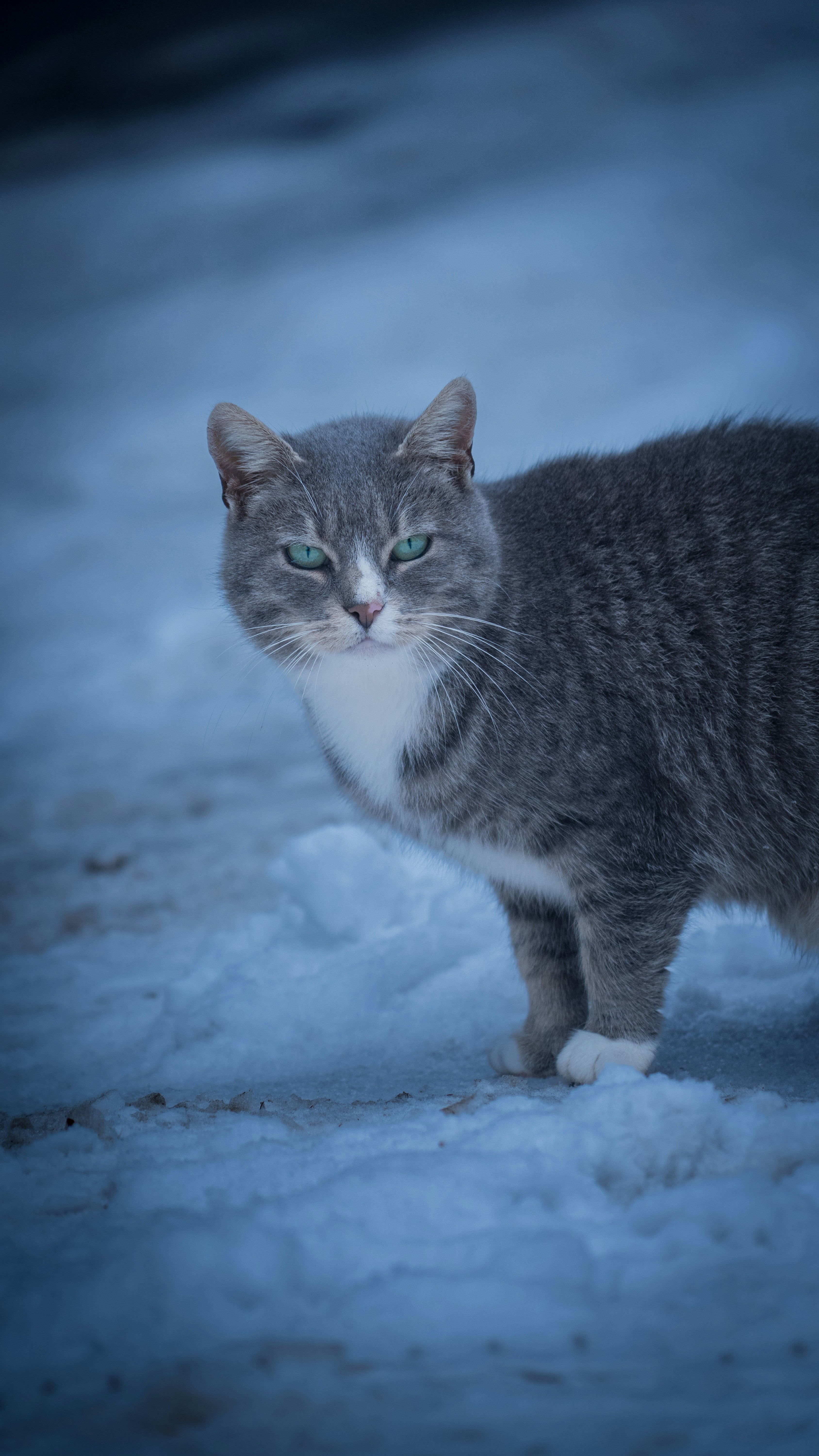 Photo by barbosul08