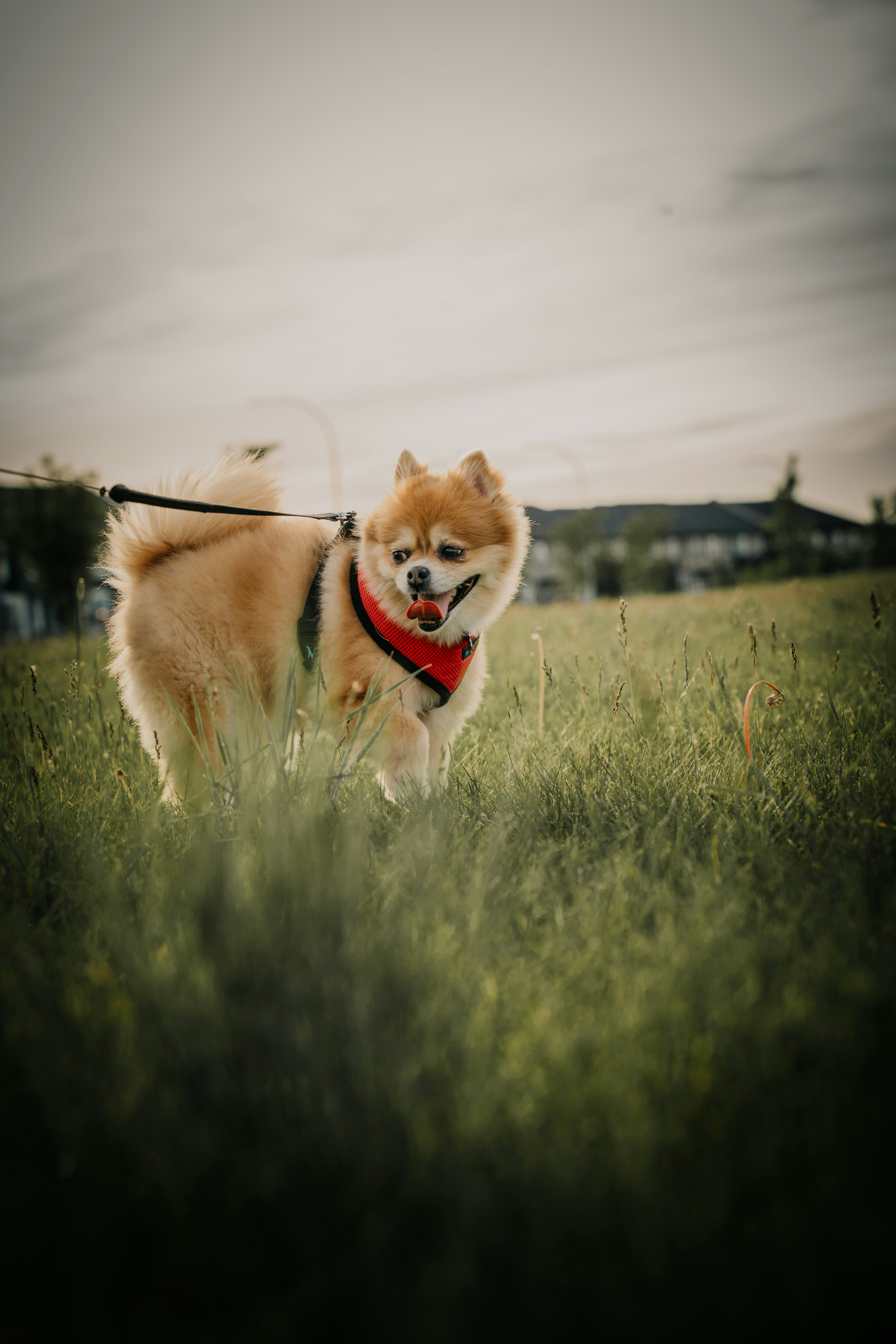 Photo by one91creative