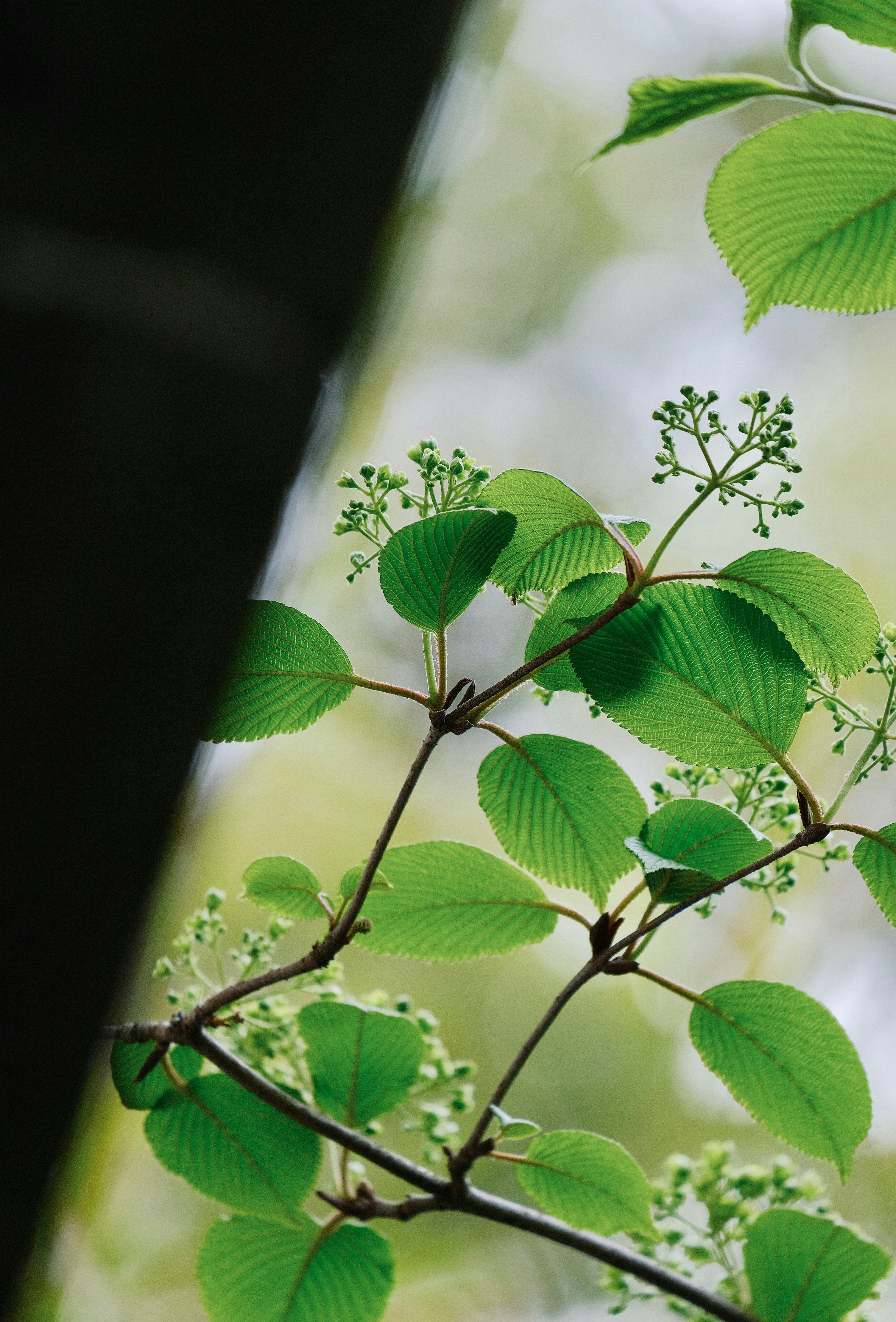 Photo by sinjintsang