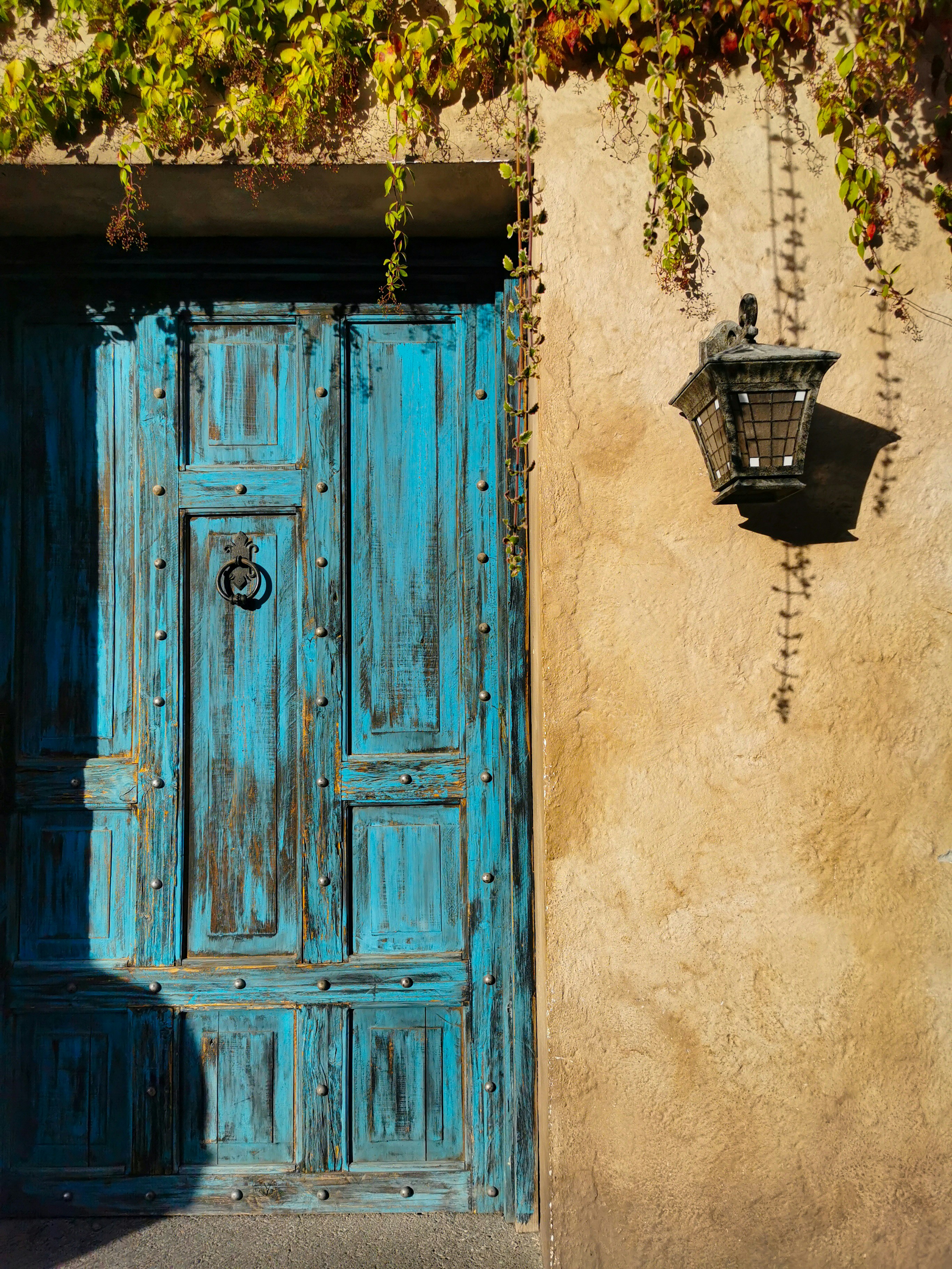 Photo by kidfreyland