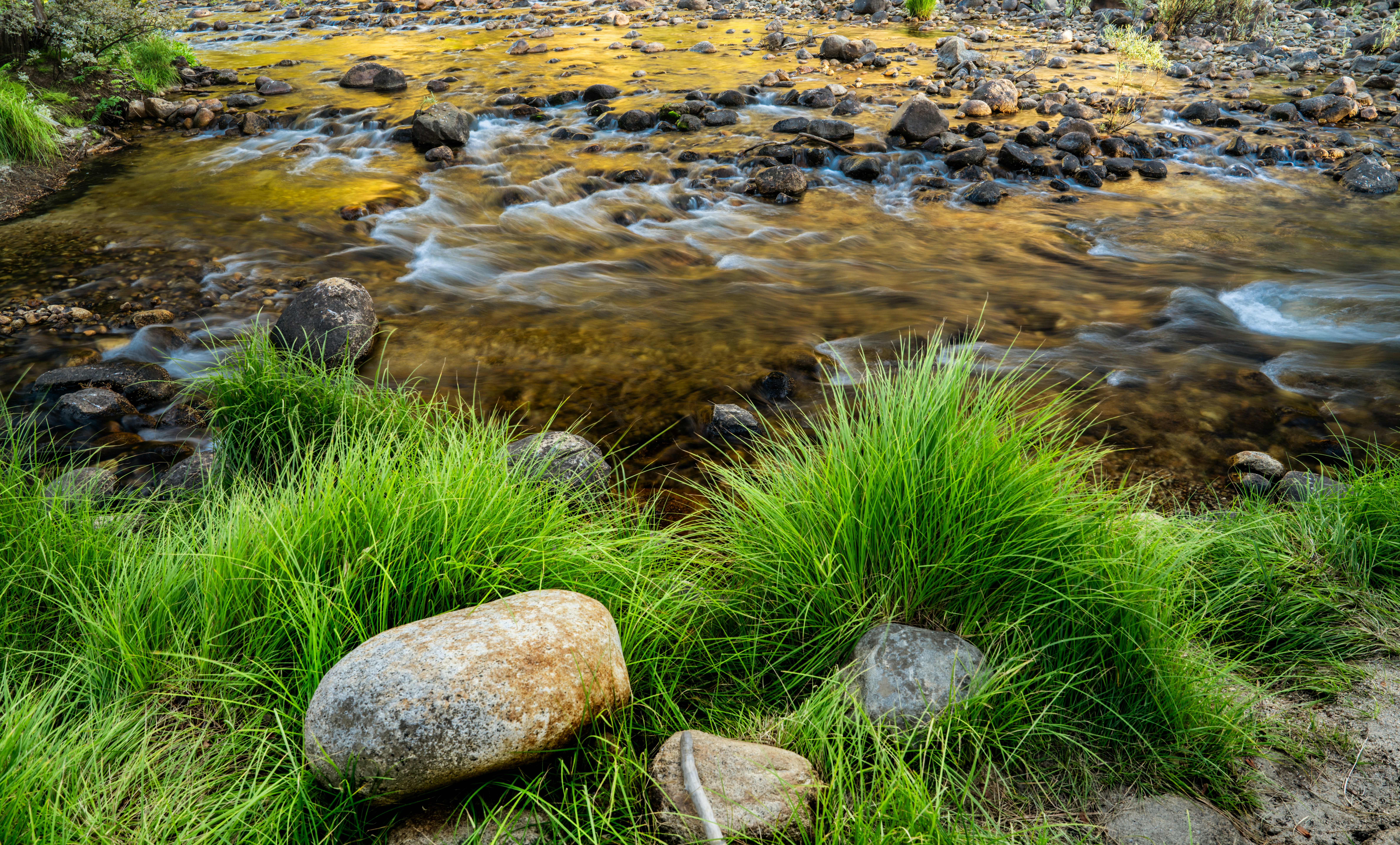 Photo by happy_pixel