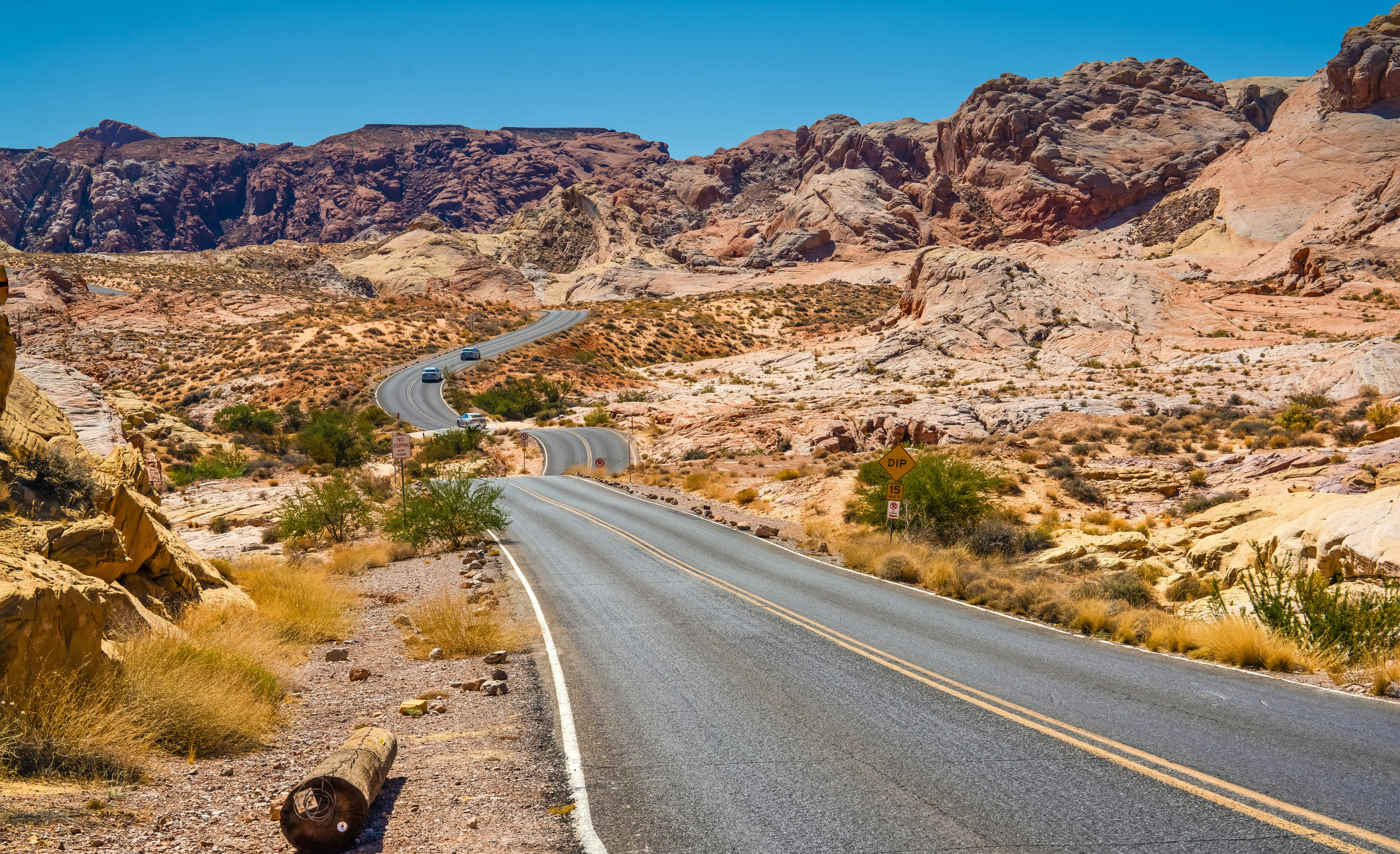 Photo by happy_pixel